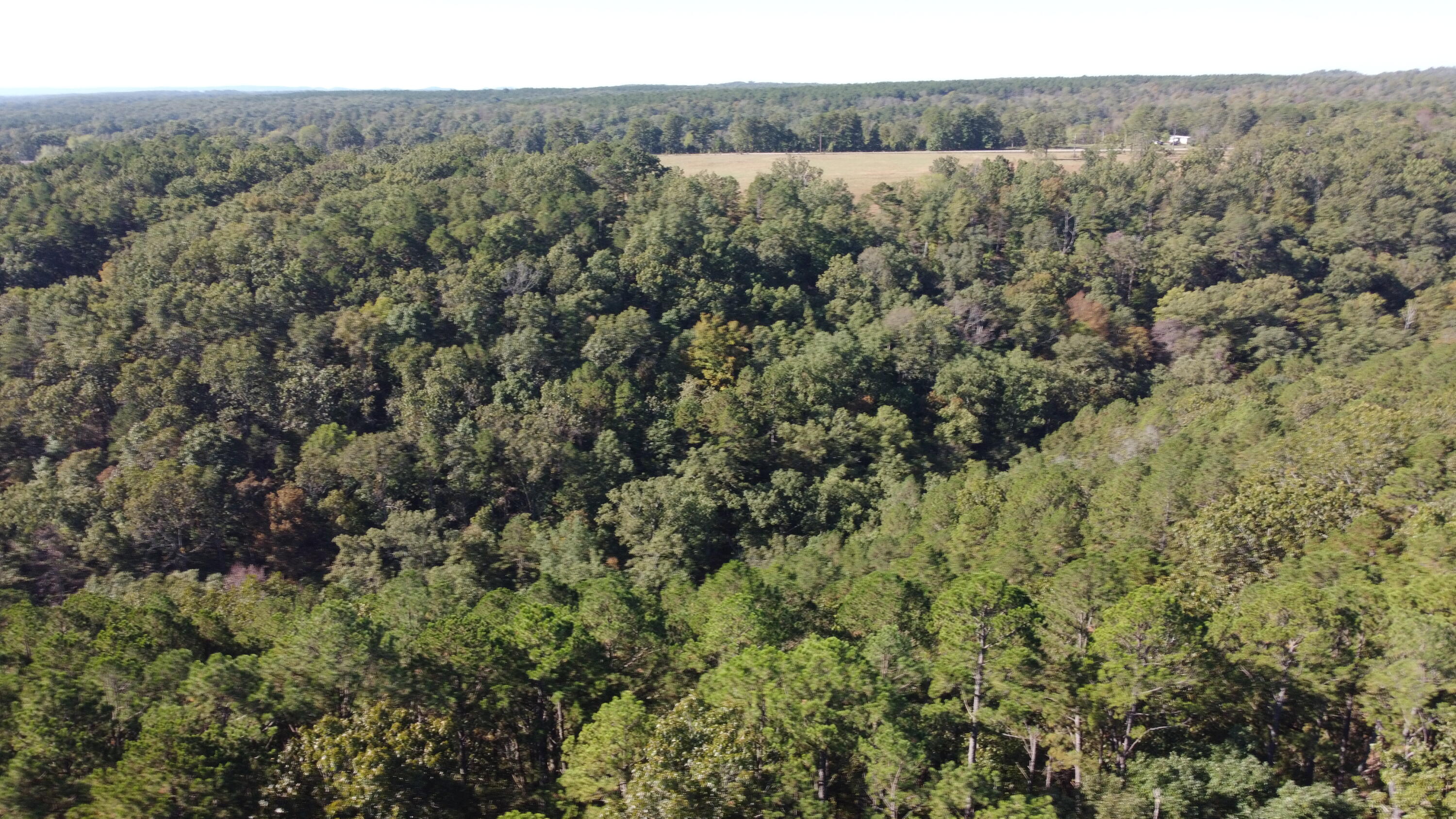 34771 Mo-14 Property Photo 35