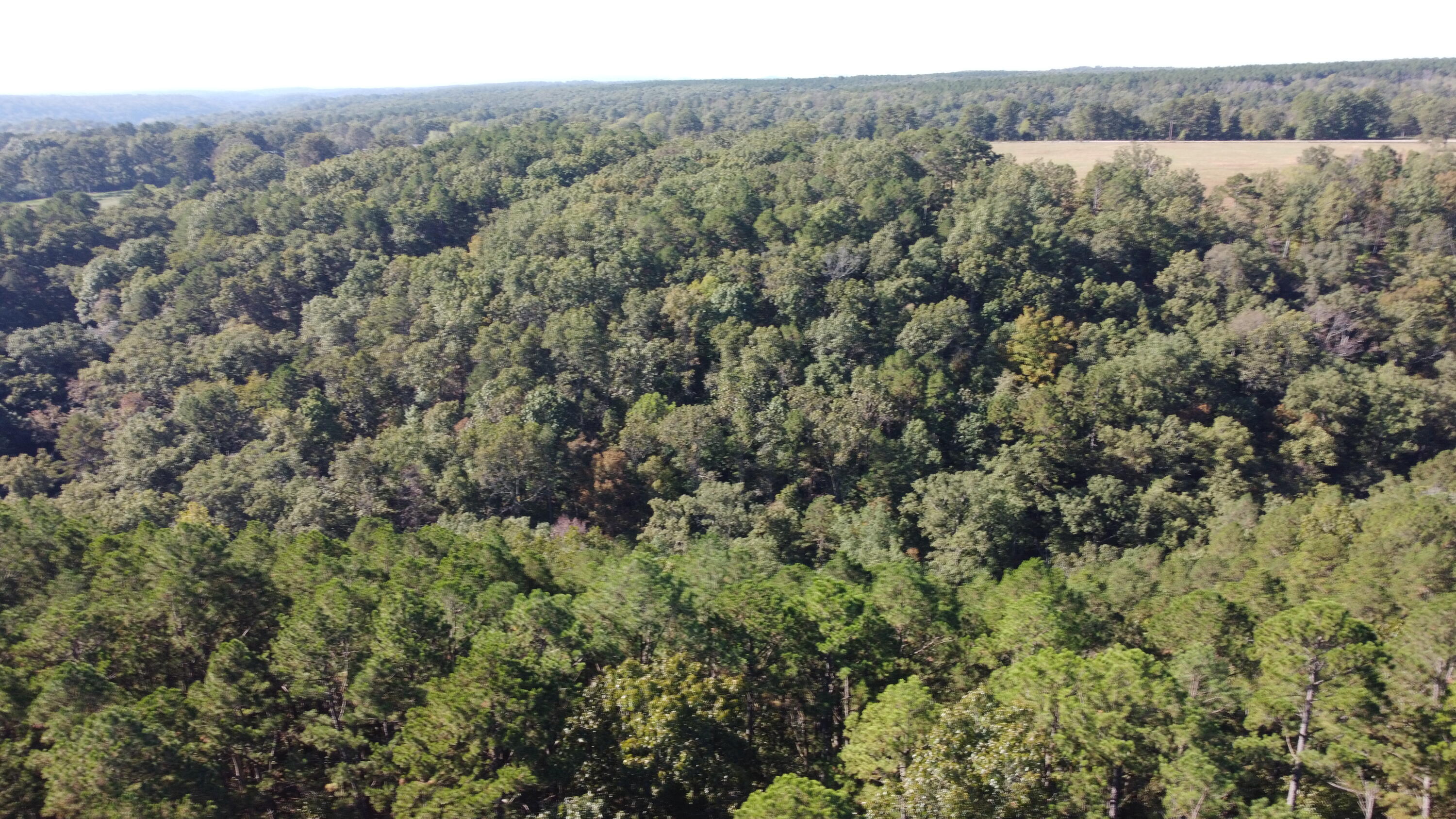 34771 Mo-14 Property Photo 36