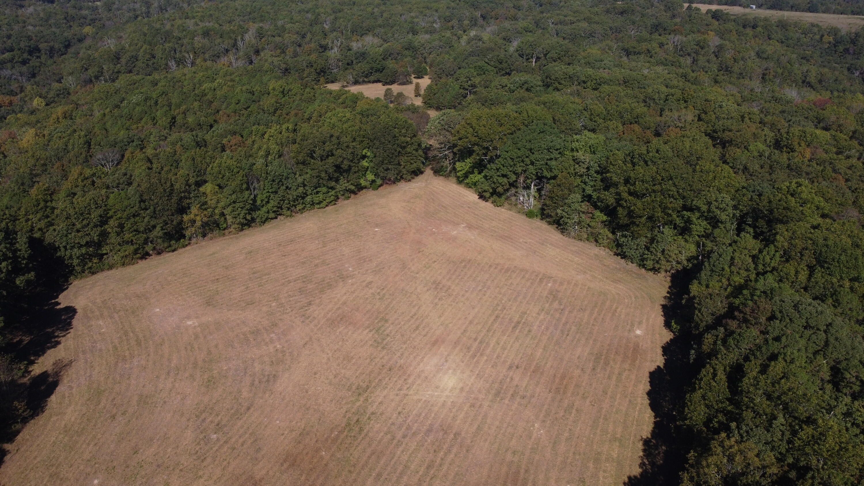 34771 Mo-14 Property Photo 40