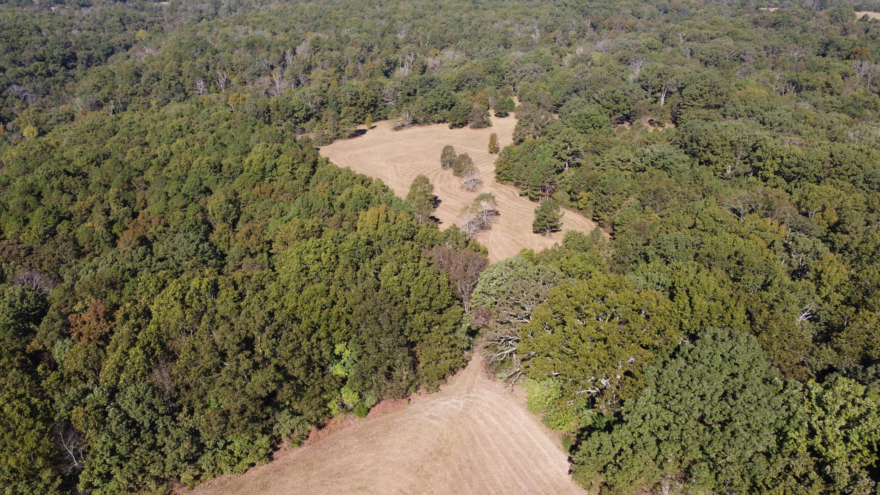 34771 Mo-14 Property Photo 41