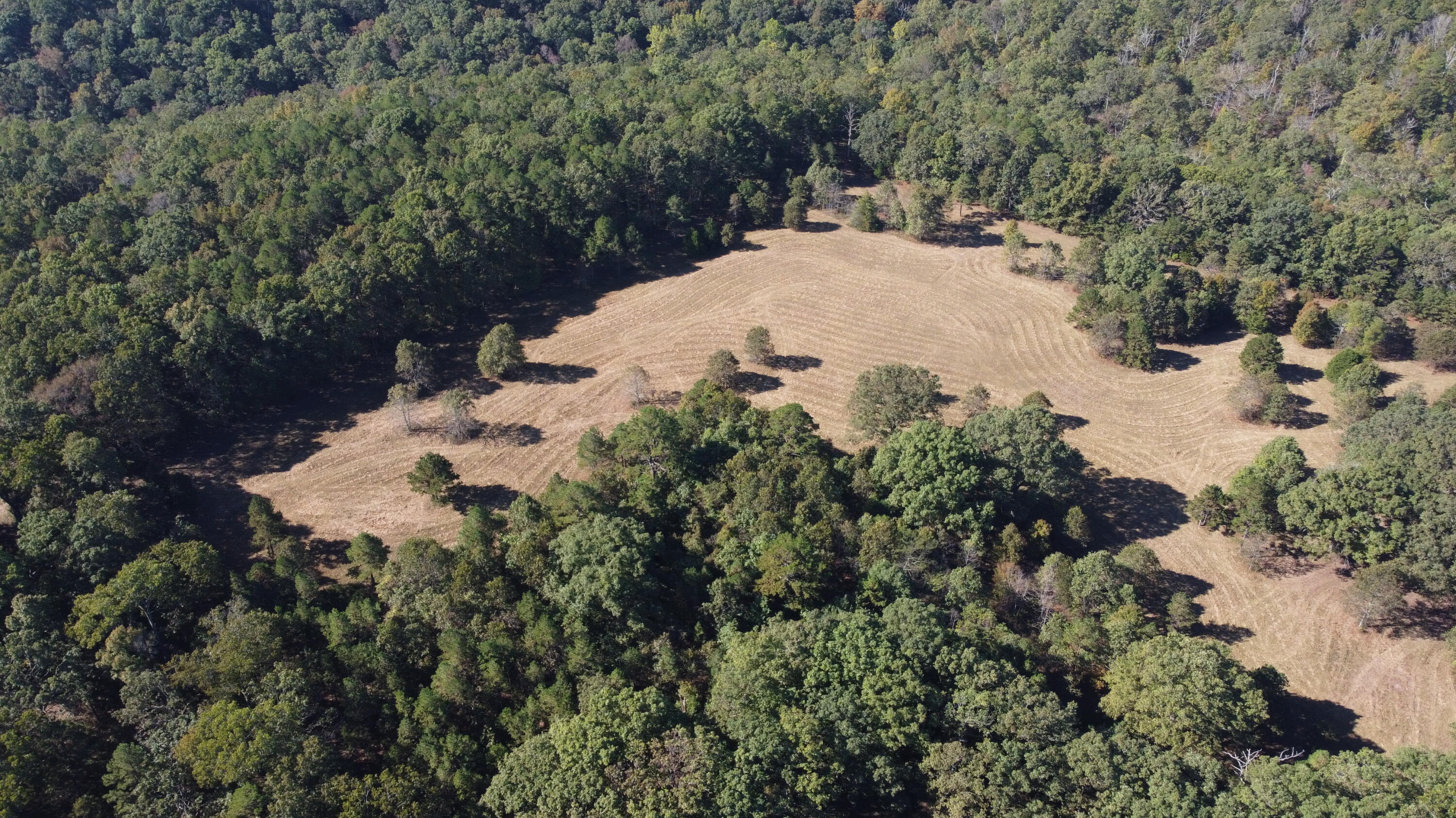 34771 Mo-14 Property Photo 52