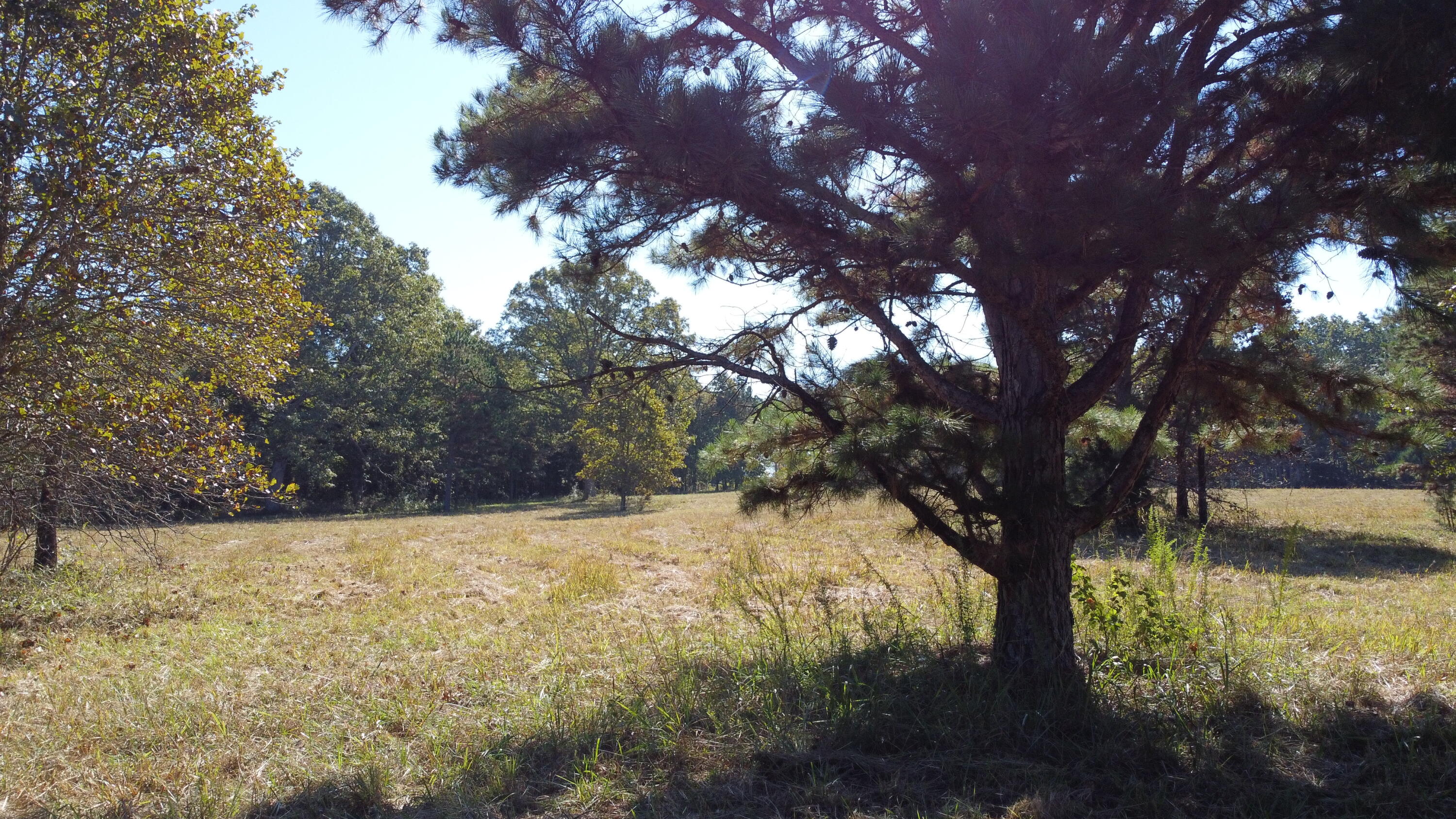 34771 Mo-14 Property Photo 53