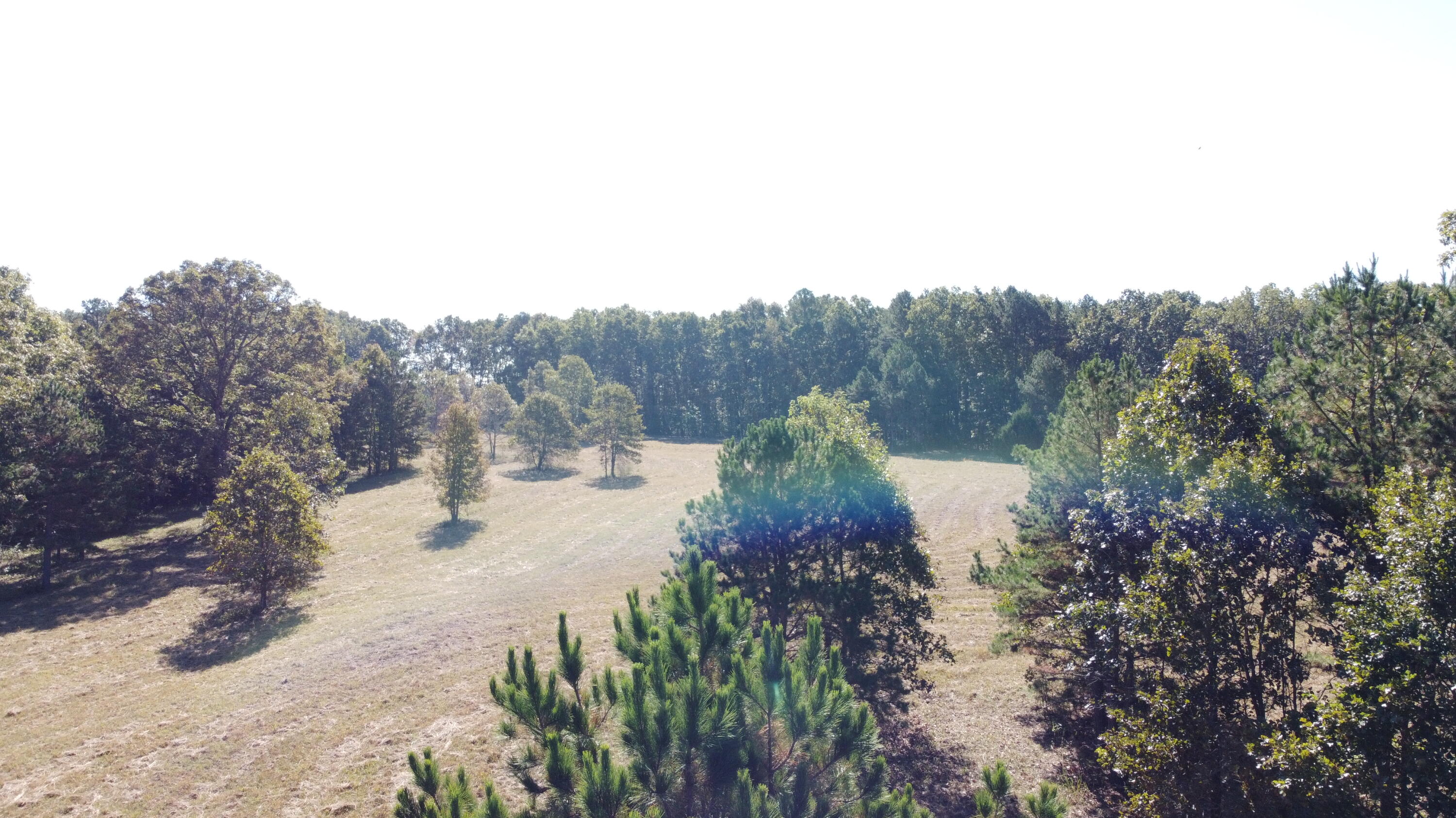 34771 Mo-14 Property Photo 54
