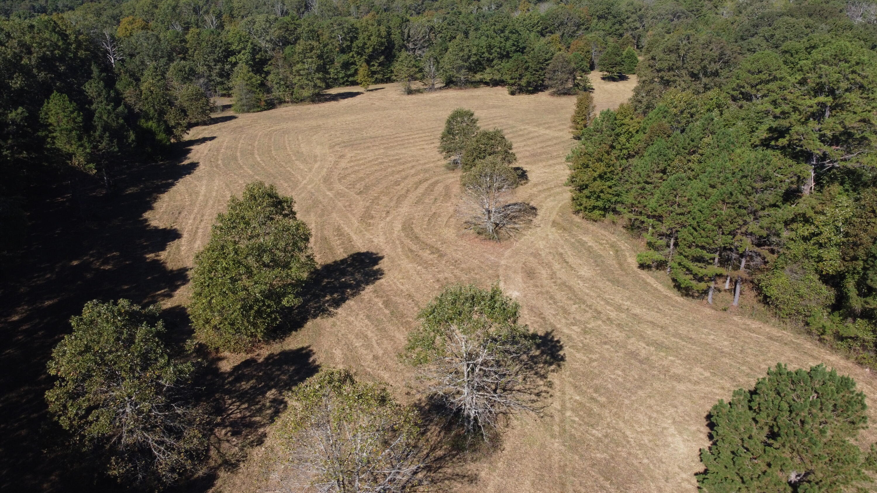 34771 Mo-14 Property Photo 58