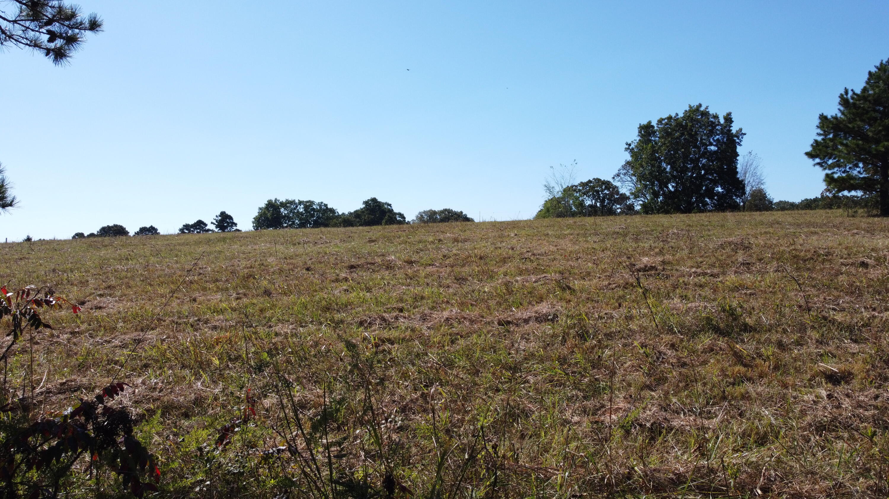 34771 Mo-14 Property Photo 79