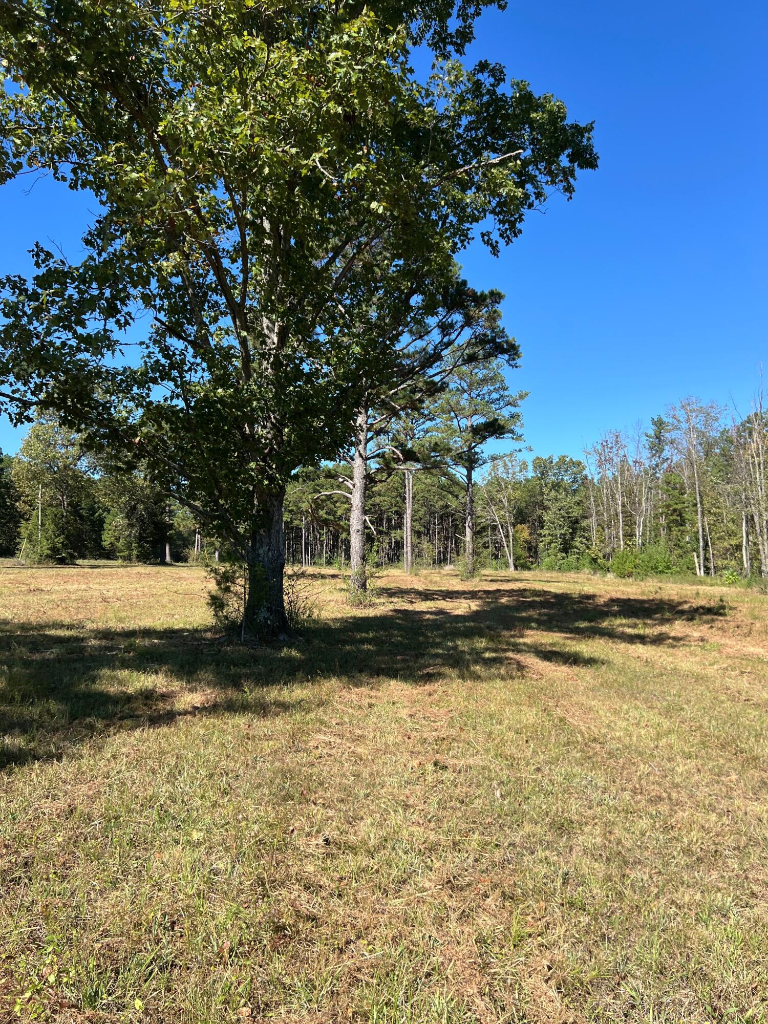 34771 Mo-14 Property Photo 80