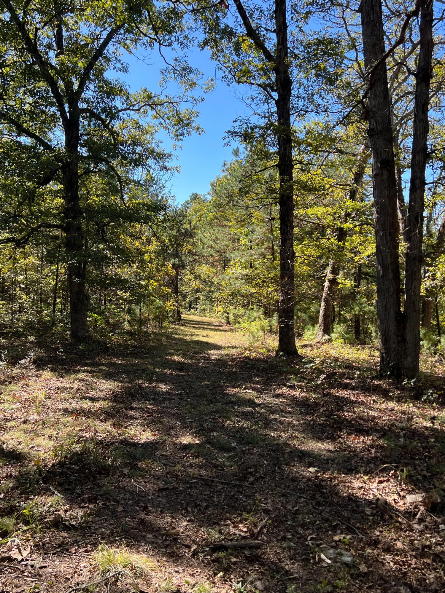 34771 Mo-14 Property Photo 81