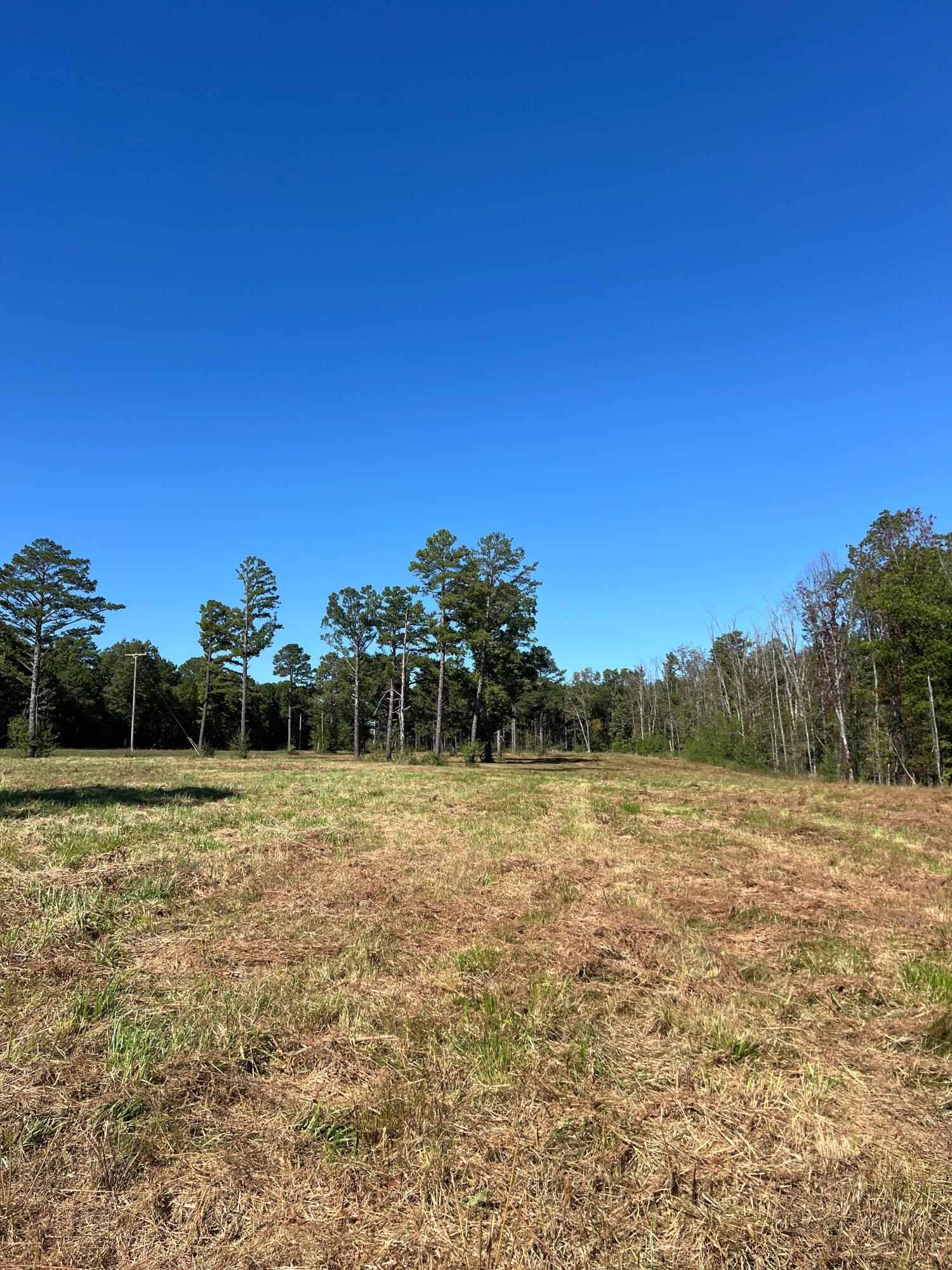 34771 Mo-14 Property Photo 83