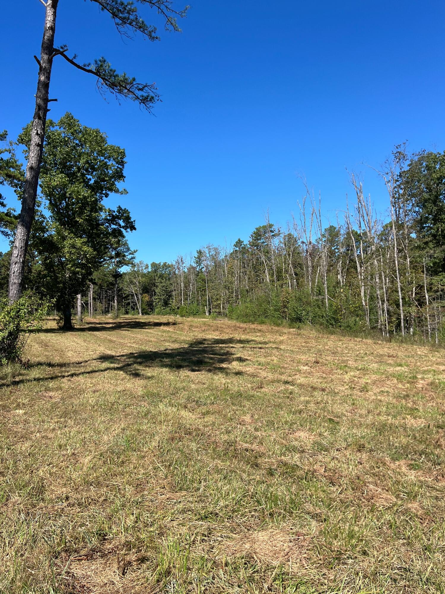 34771 Mo-14 Property Photo 84