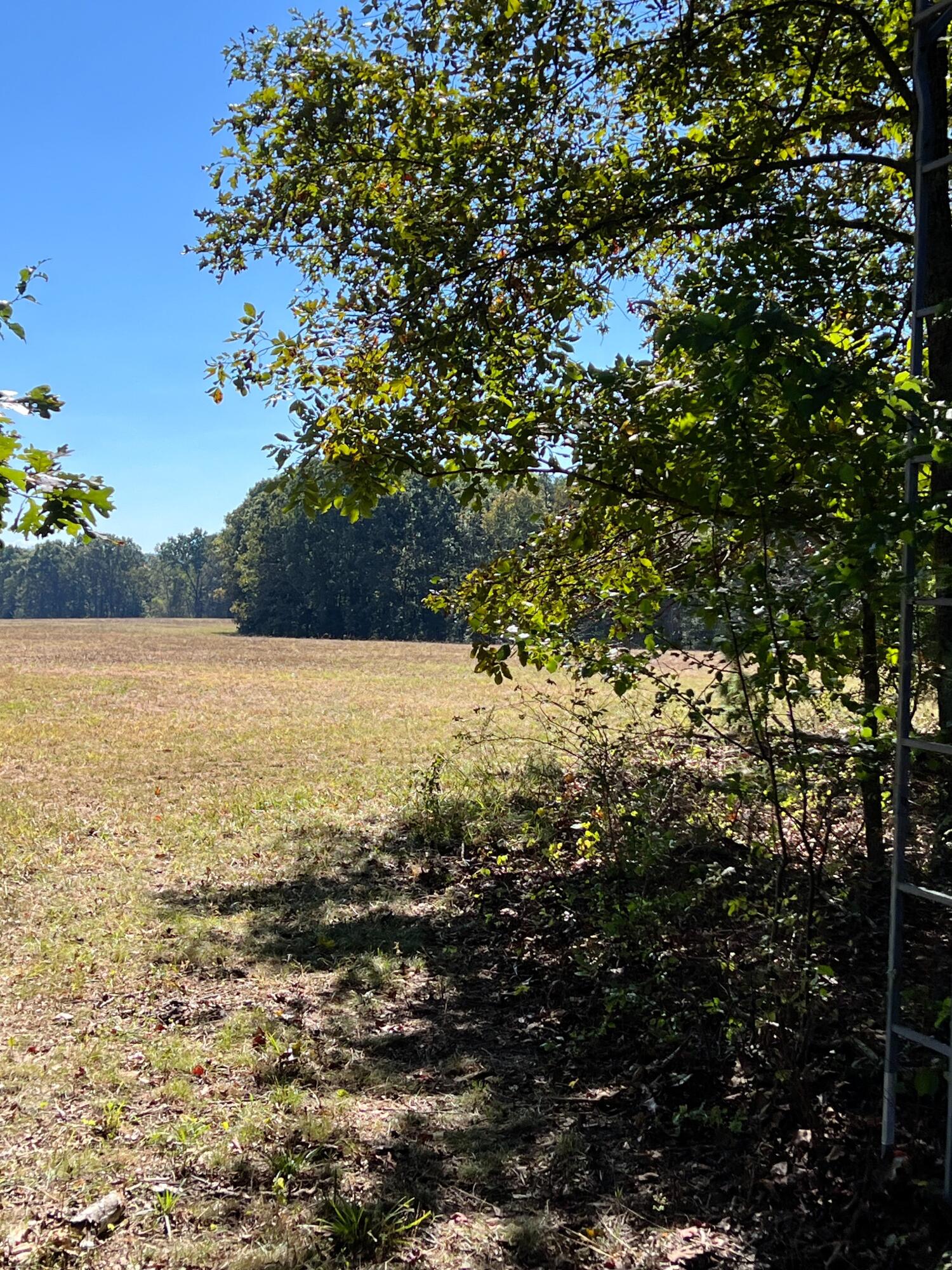 34771 Mo-14 Property Photo 85