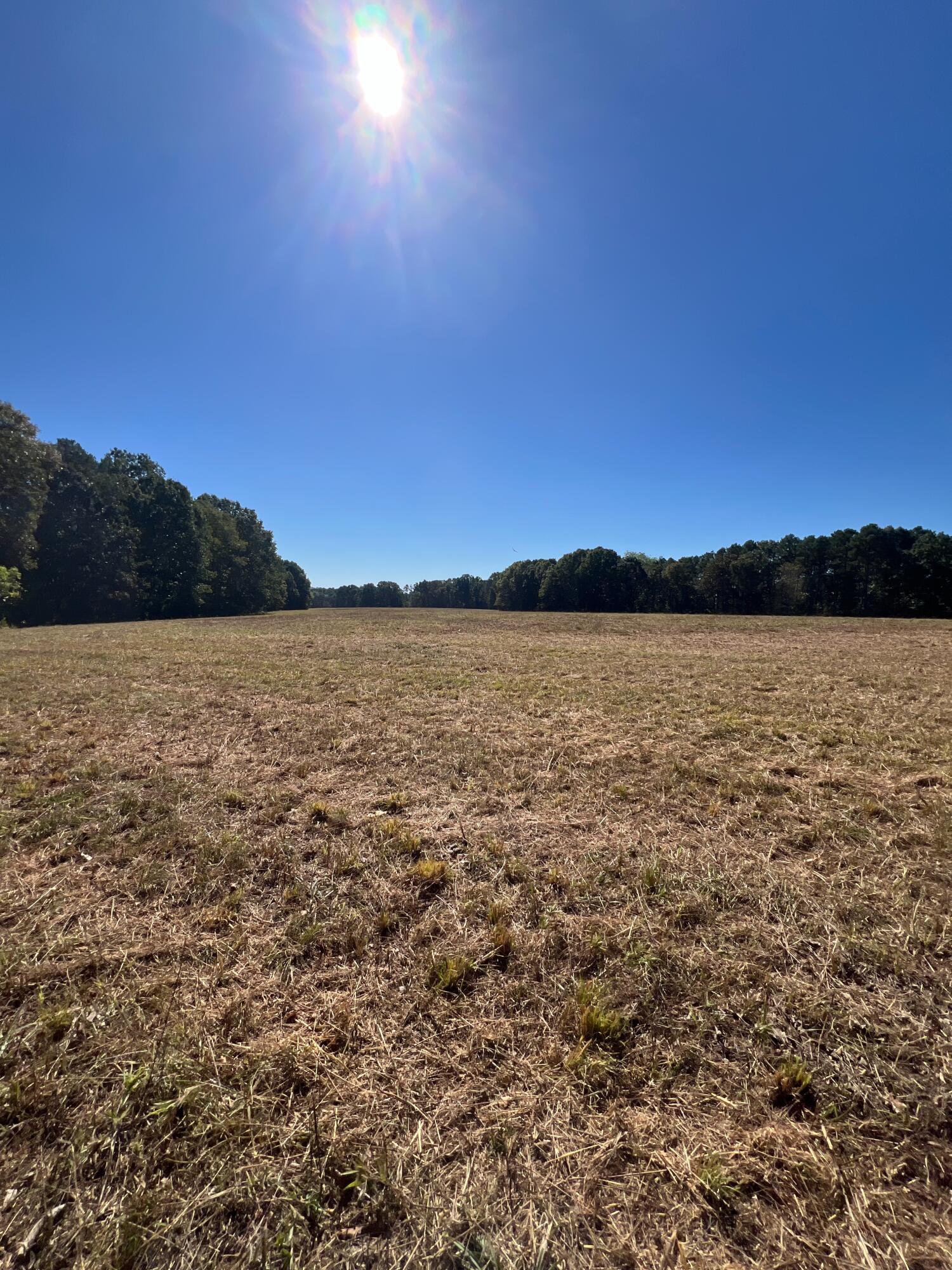 34771 Mo-14 Property Photo 87