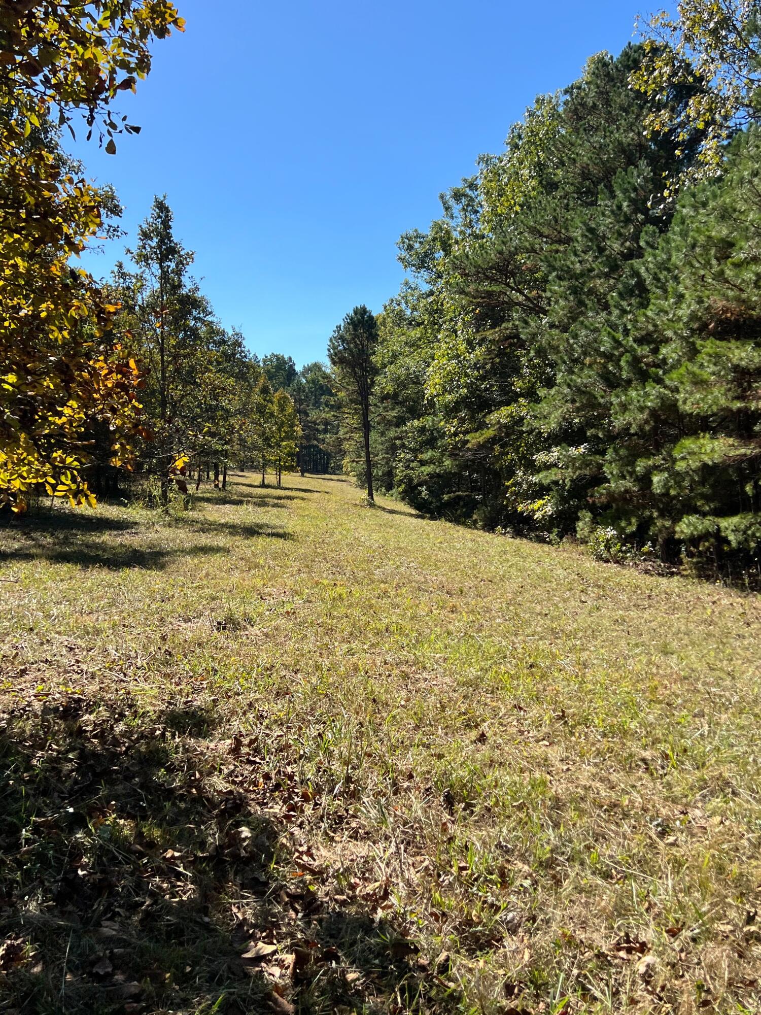34771 Mo-14 Property Photo 88