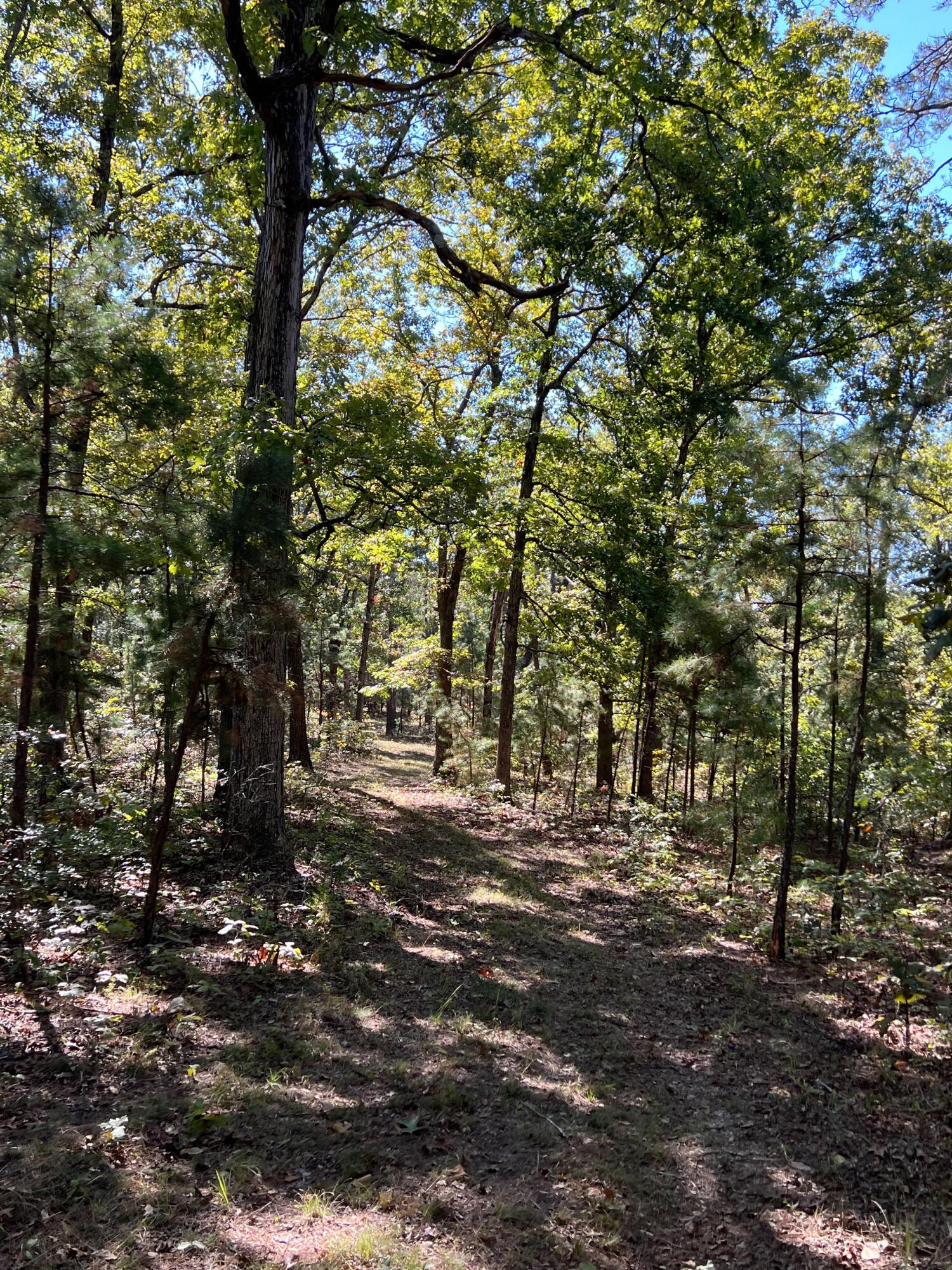 34771 Mo-14 Property Photo 89