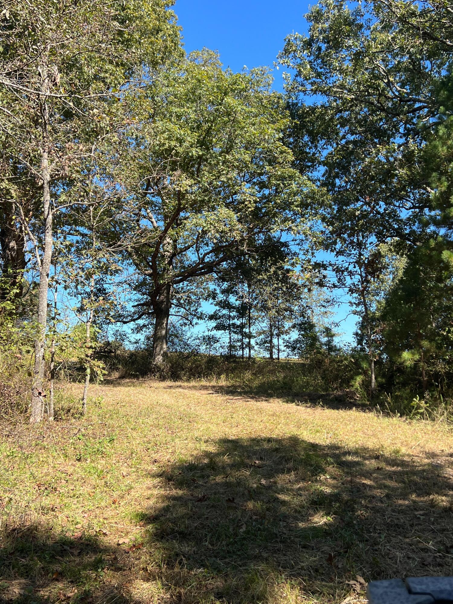 34771 Mo-14 Property Photo 90