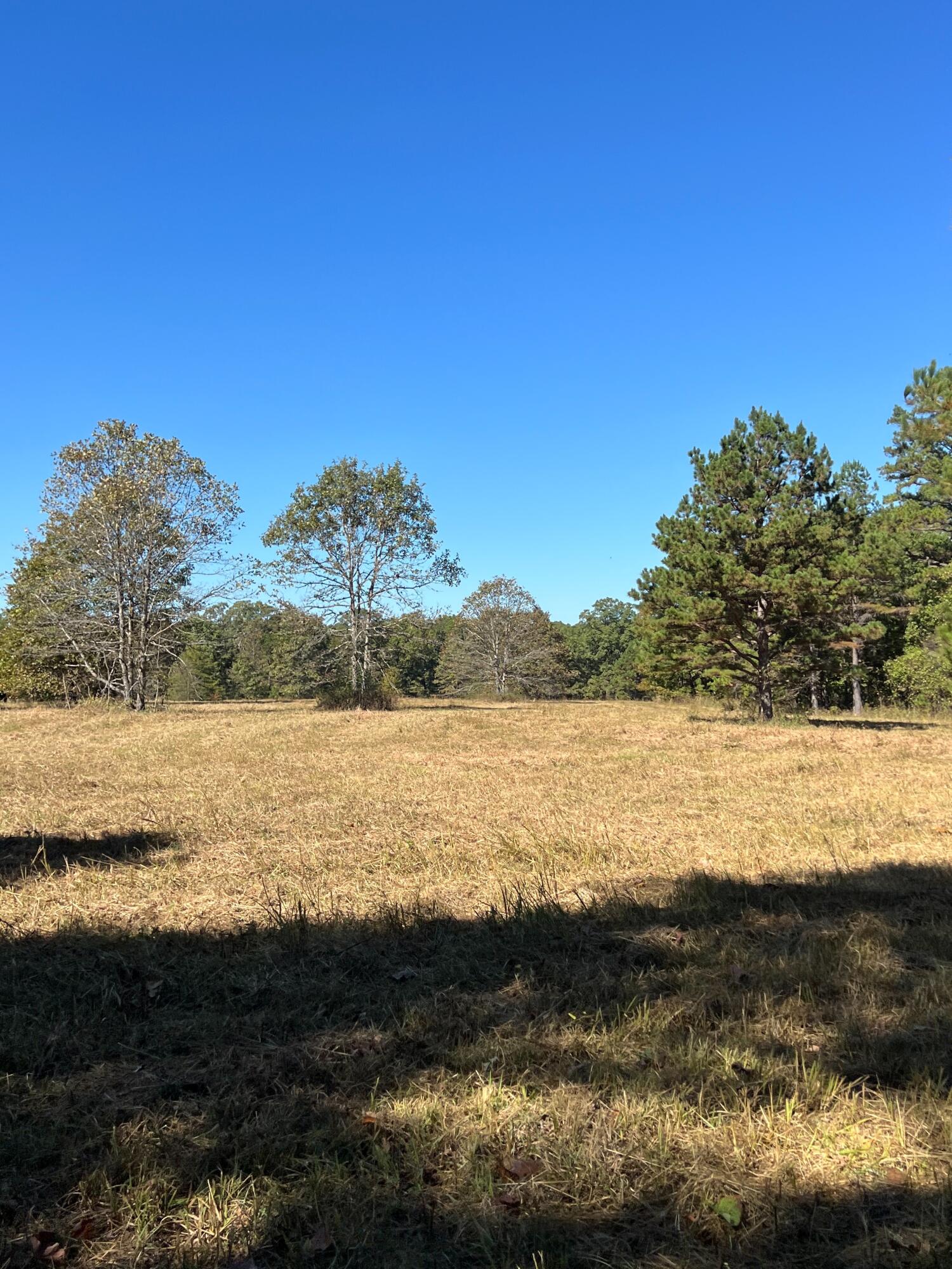 34771 Mo-14 Property Photo 91