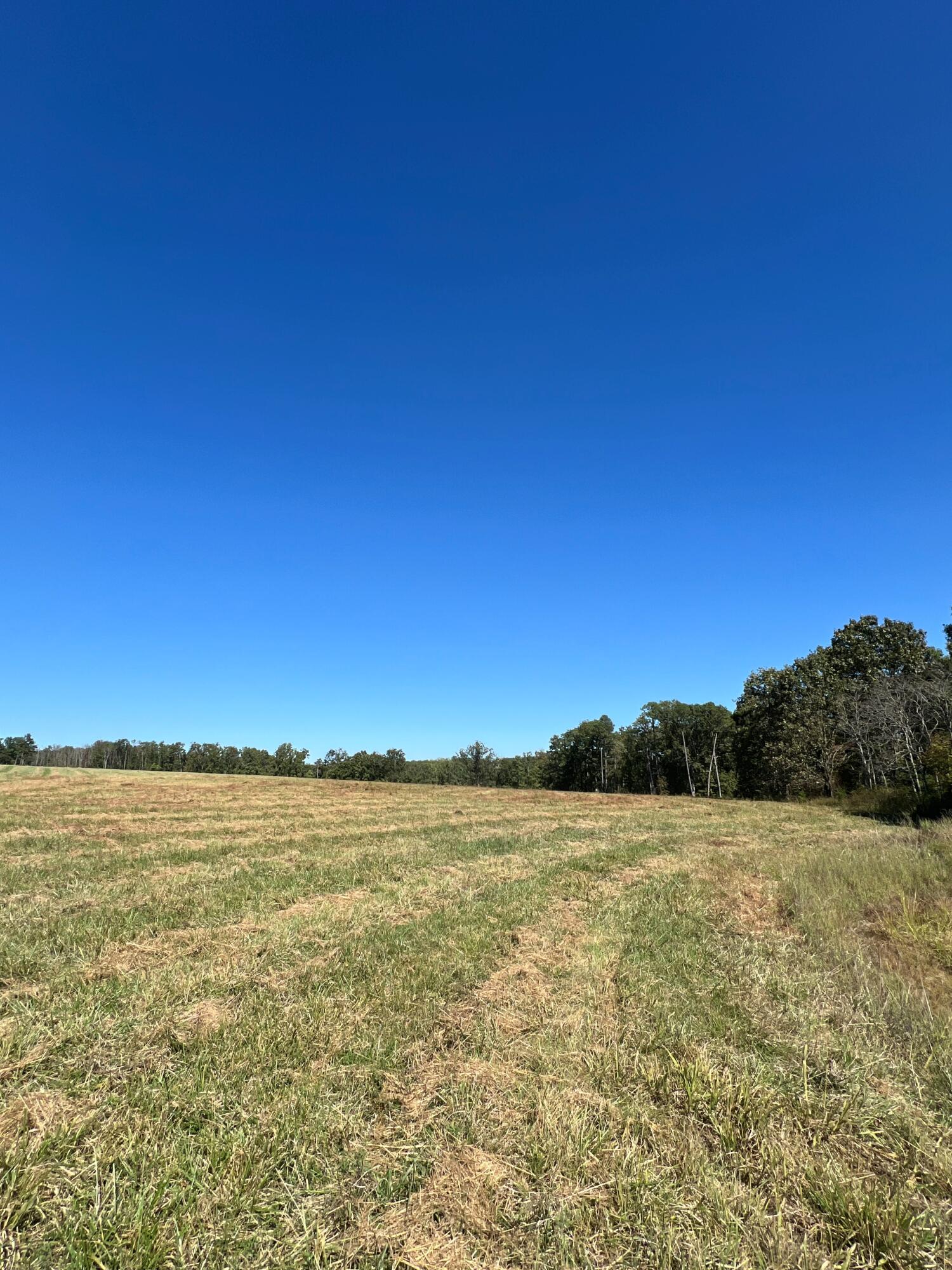 34771 Mo-14 Property Photo 93