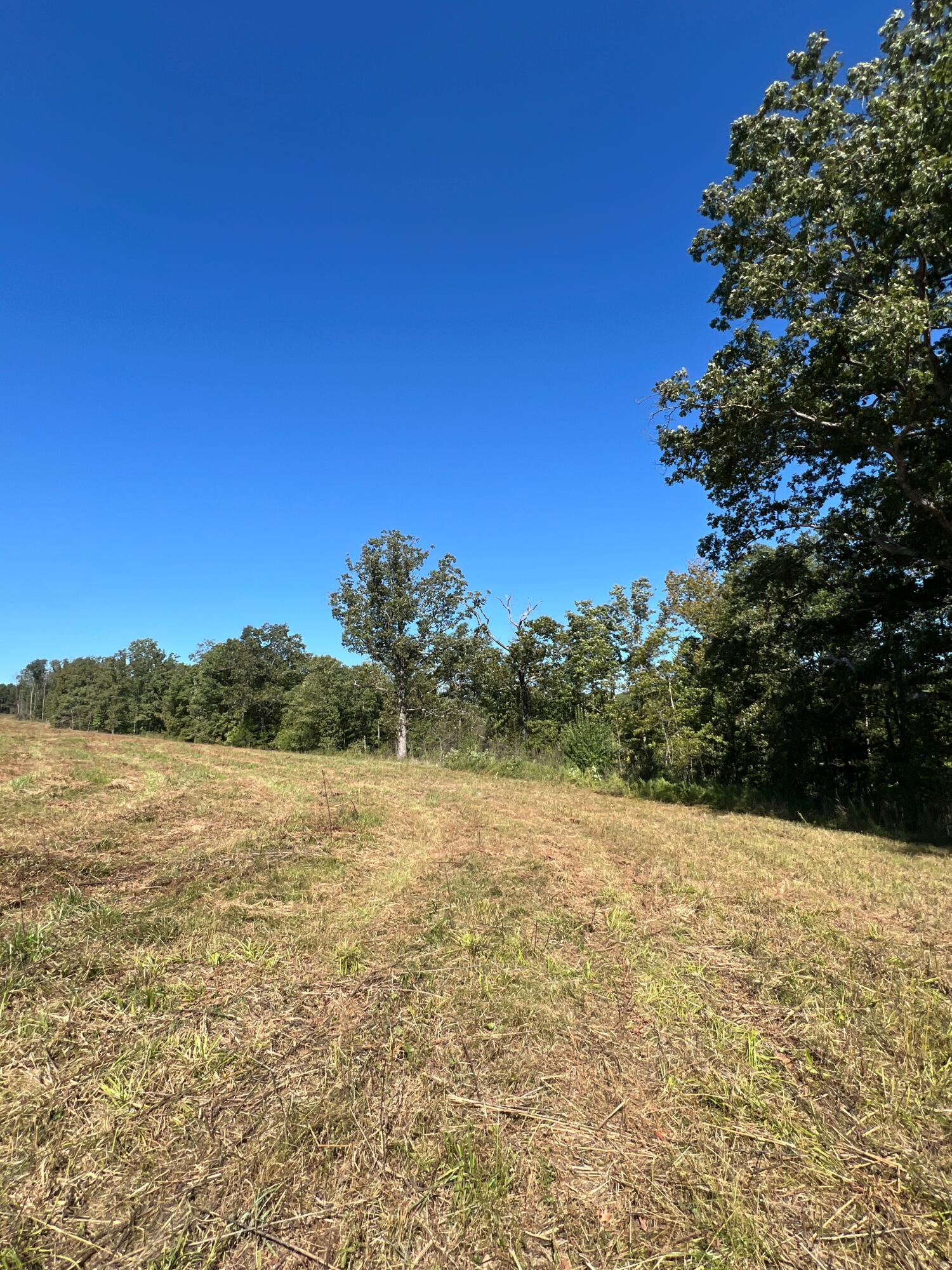 34771 Mo-14 Property Photo 94