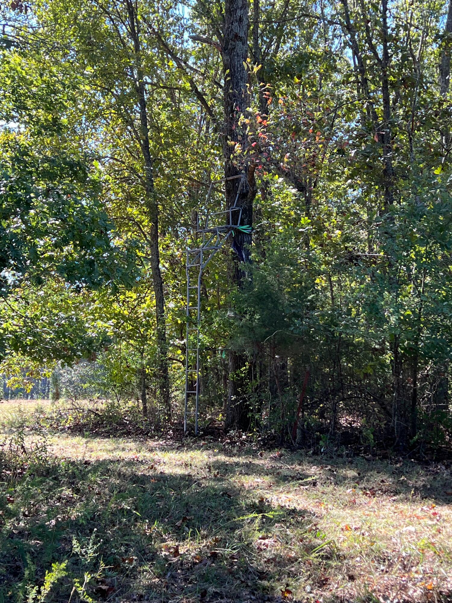 34771 Mo-14 Property Photo 95