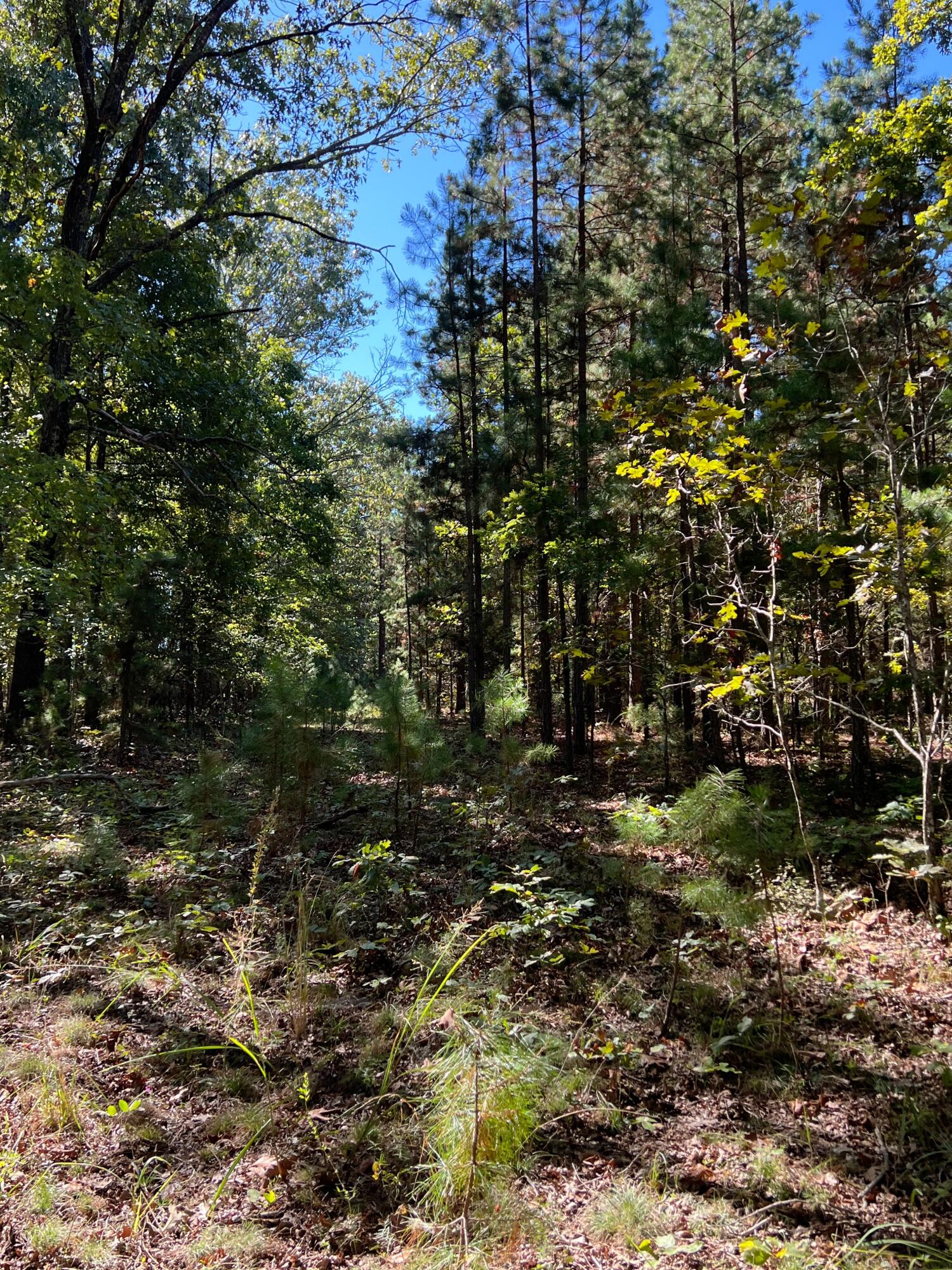 34771 Mo-14 Property Photo 96