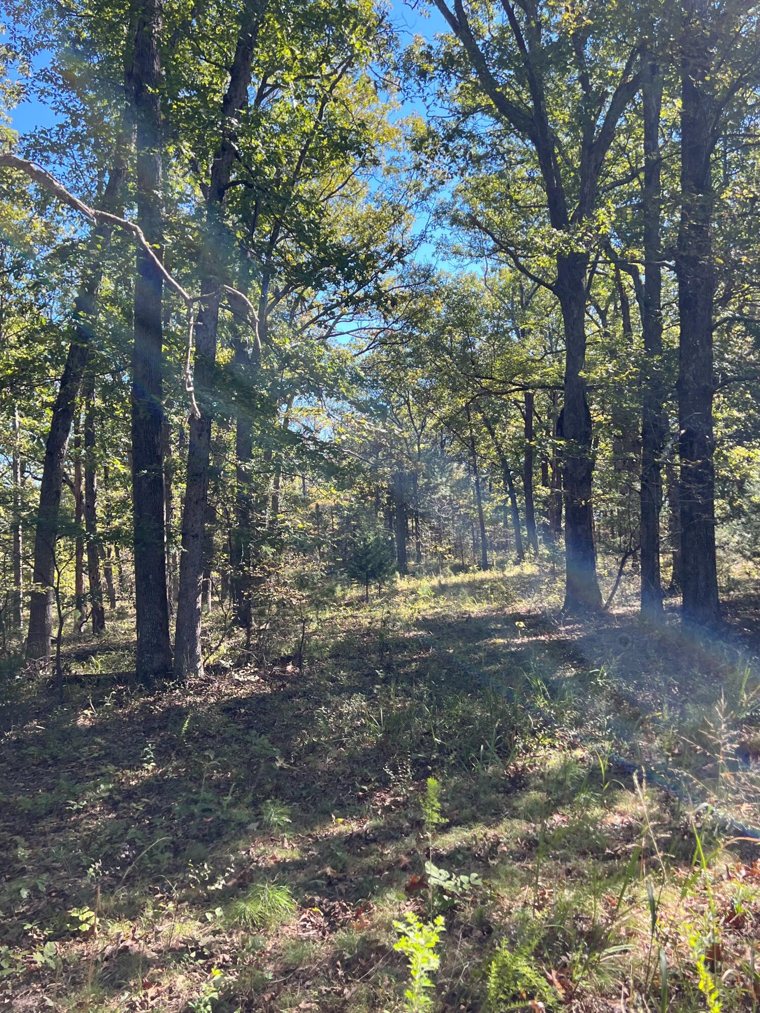 34771 Mo-14 Property Photo 97