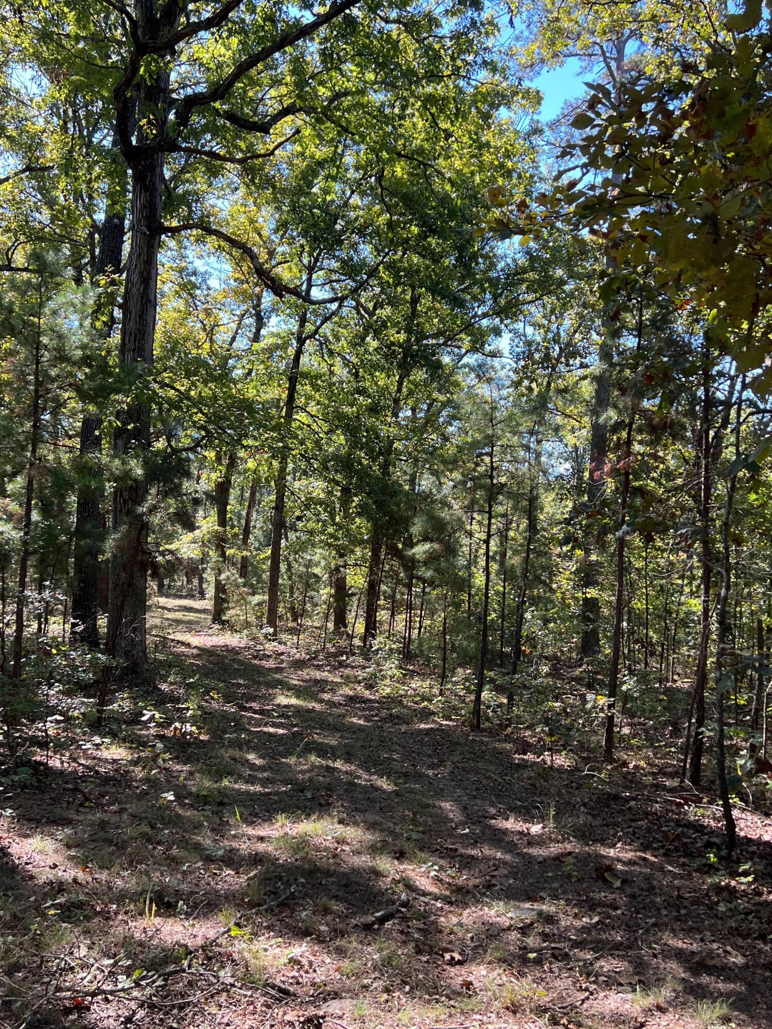 34771 Mo-14 Property Photo 98