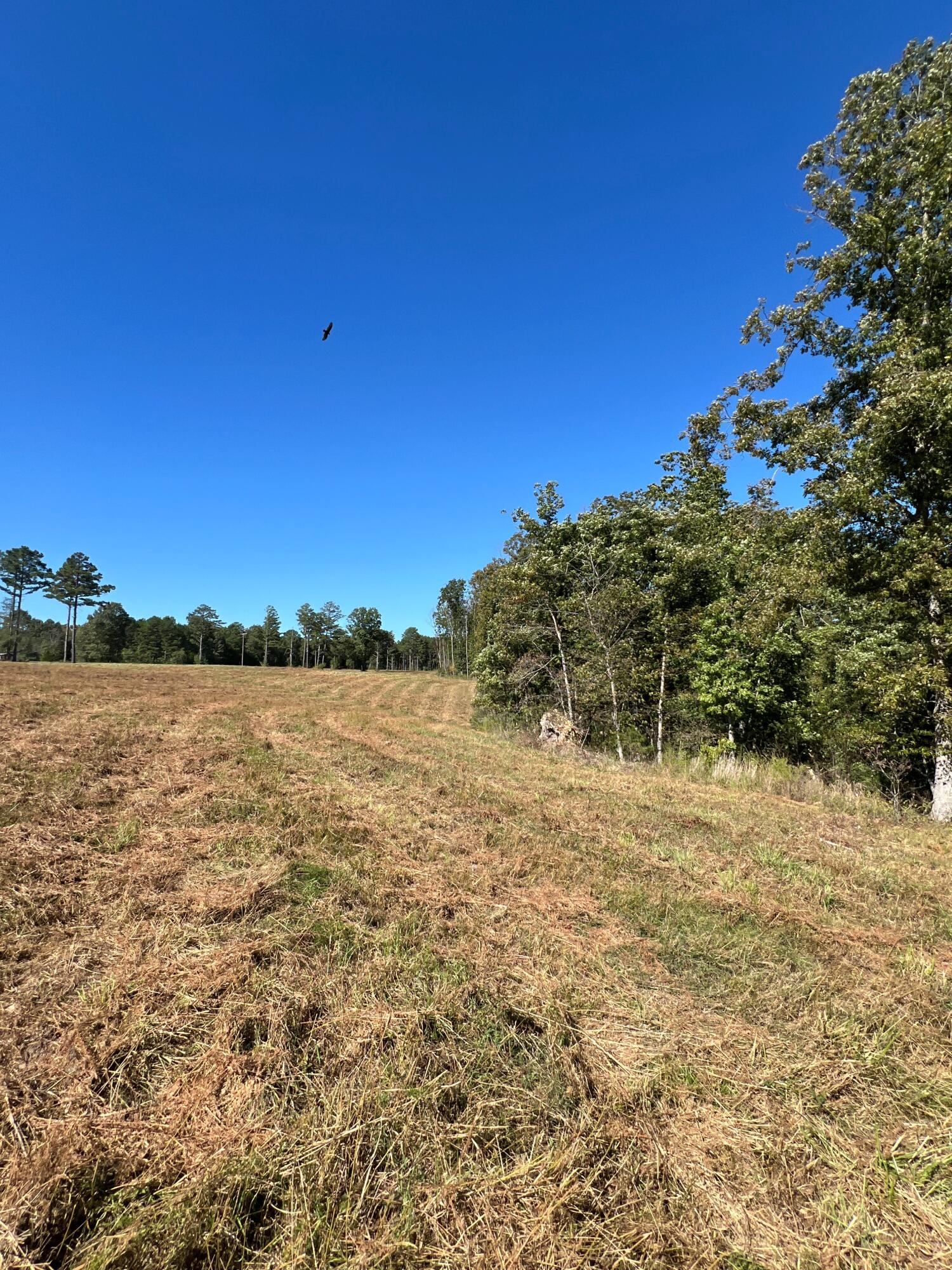 34771 Mo-14 Property Photo 100