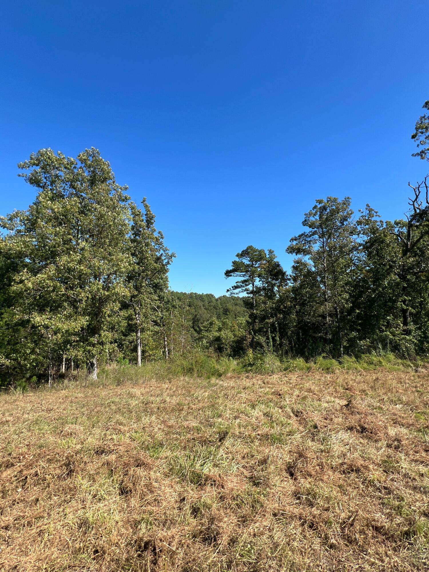 34771 Mo-14 Property Photo 101