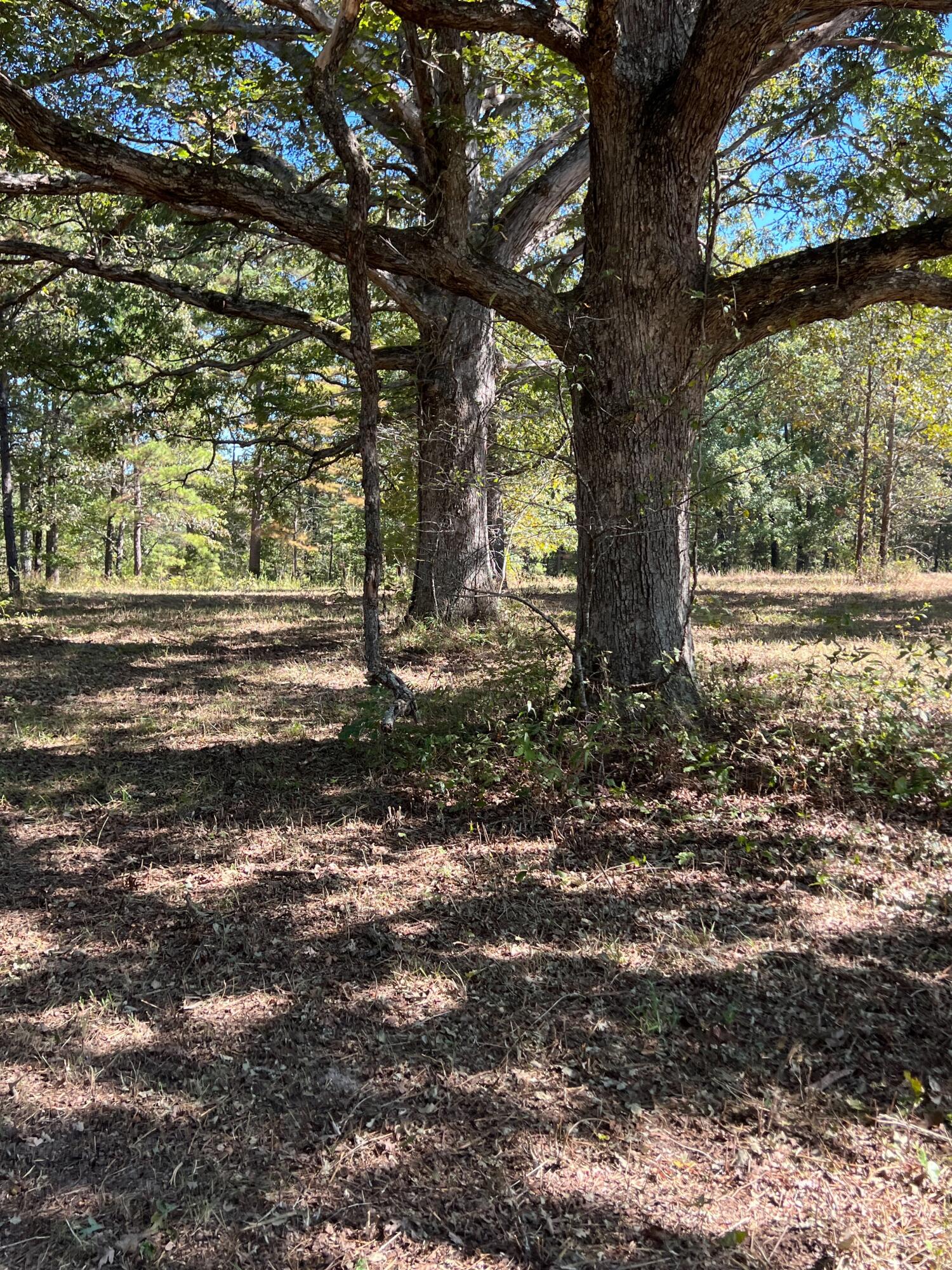 34771 Mo-14 Property Photo 102