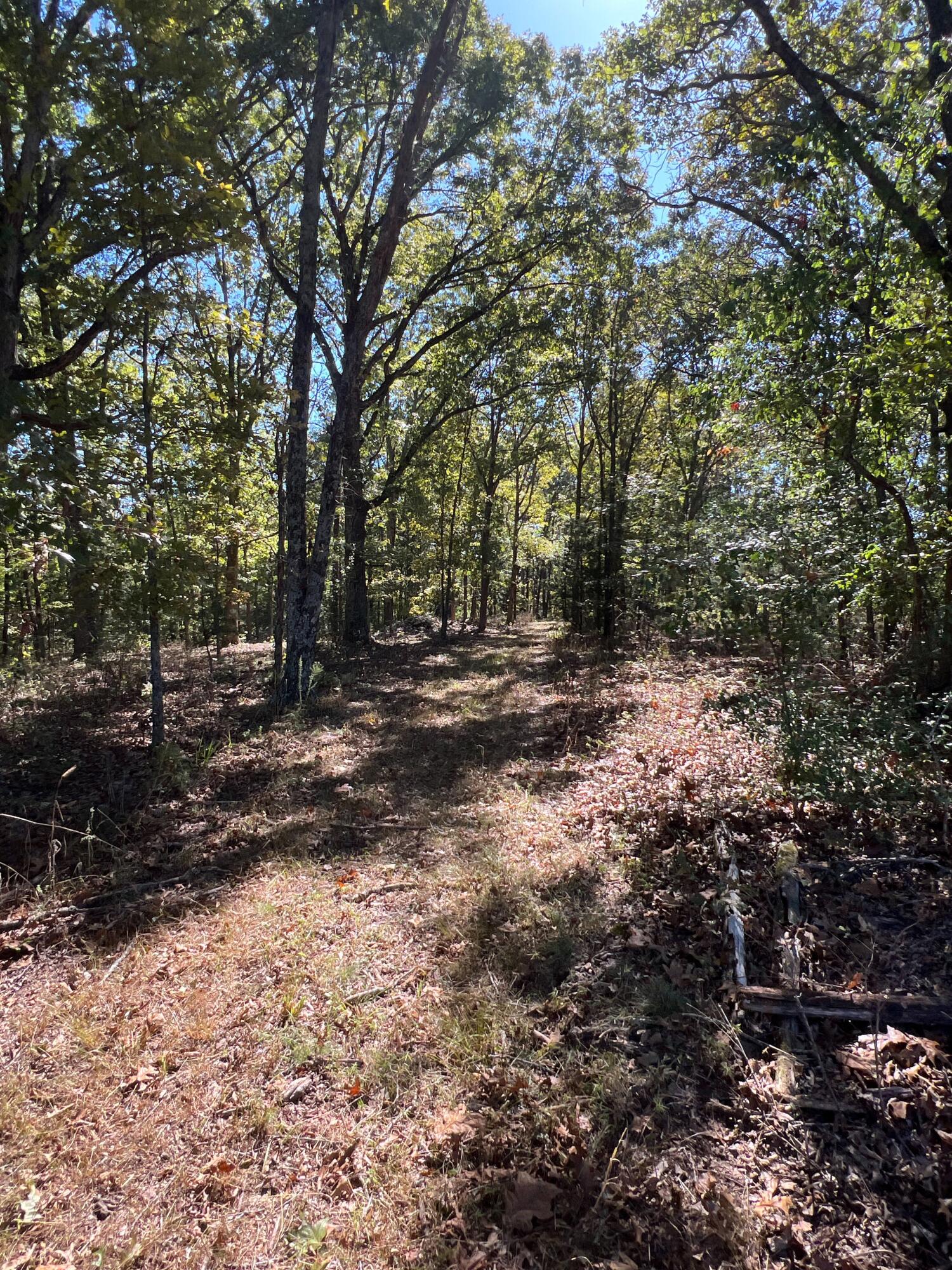 34771 Mo-14 Property Photo 103