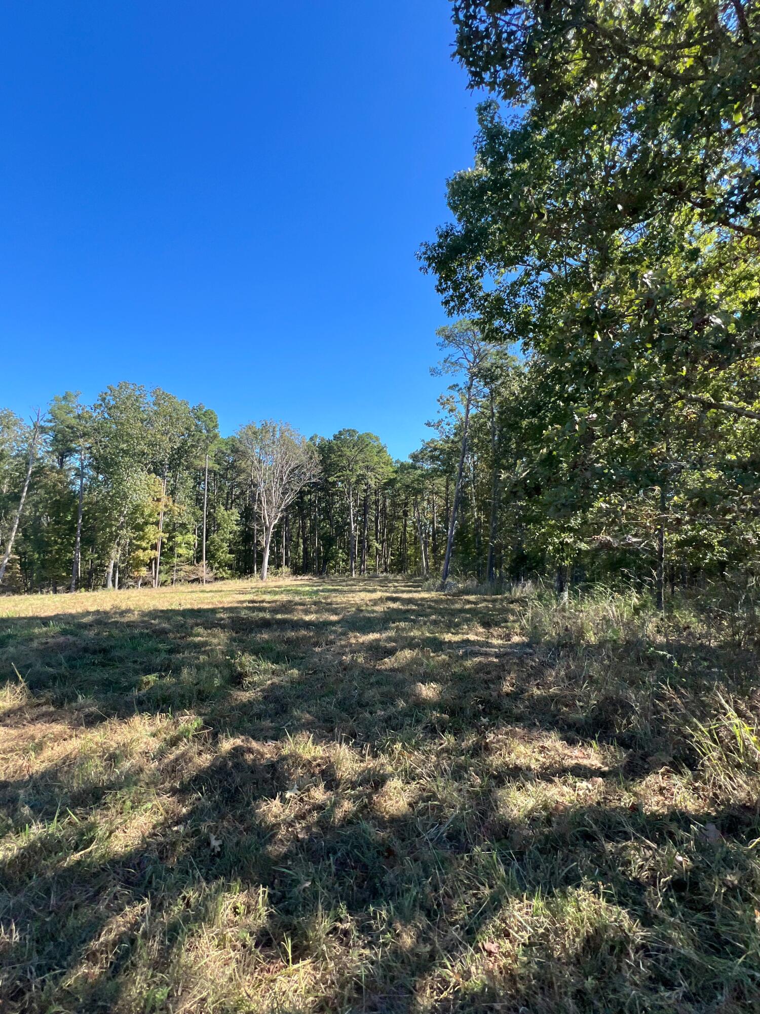 34771 Mo-14 Property Photo 104