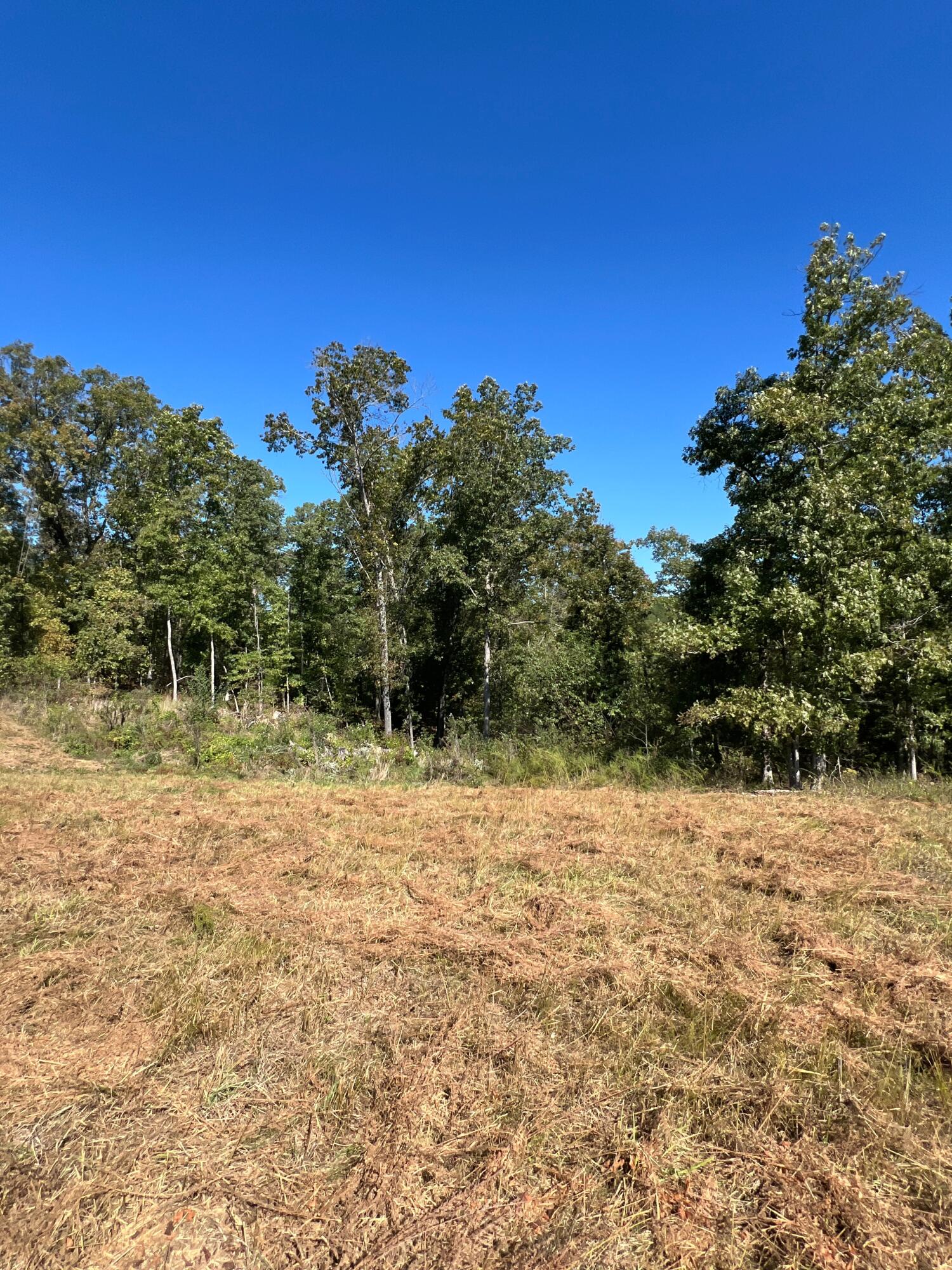34771 Mo-14 Property Photo 106