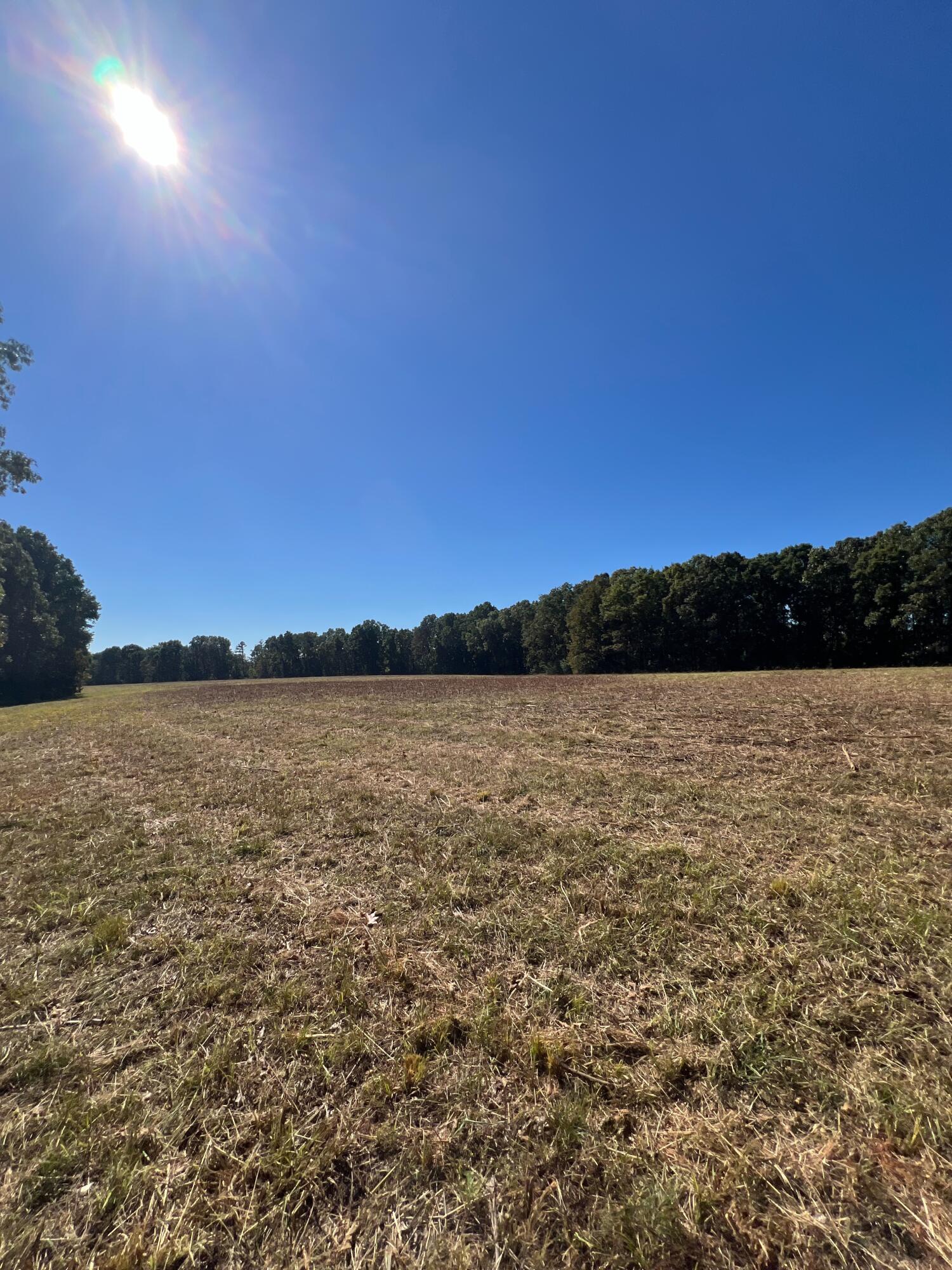 34771 Mo-14 Property Photo 108