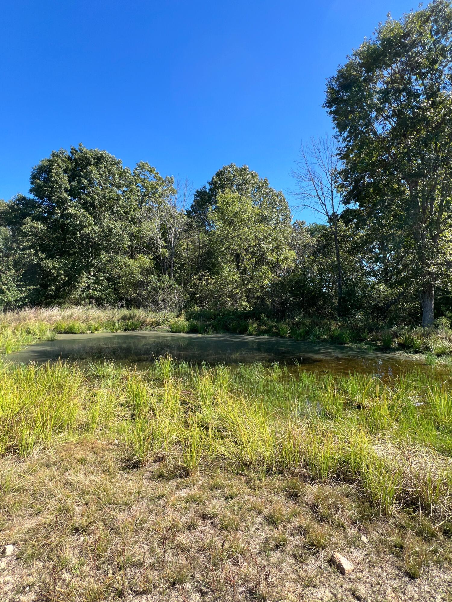 34771 Mo-14 Property Photo 109