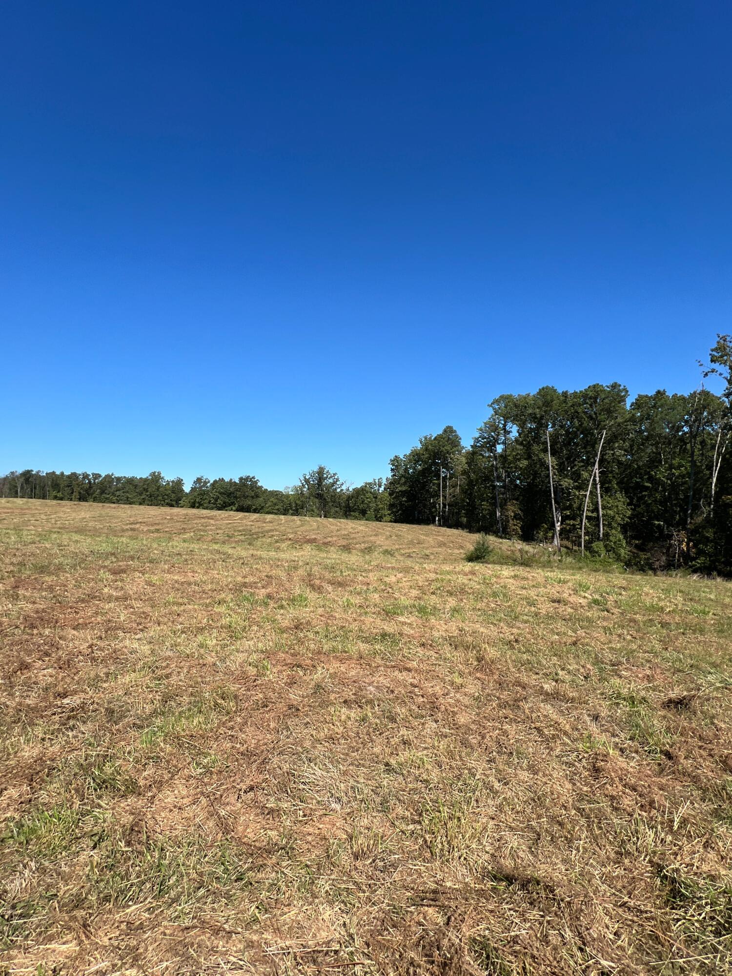 34771 Mo-14 Property Photo 110