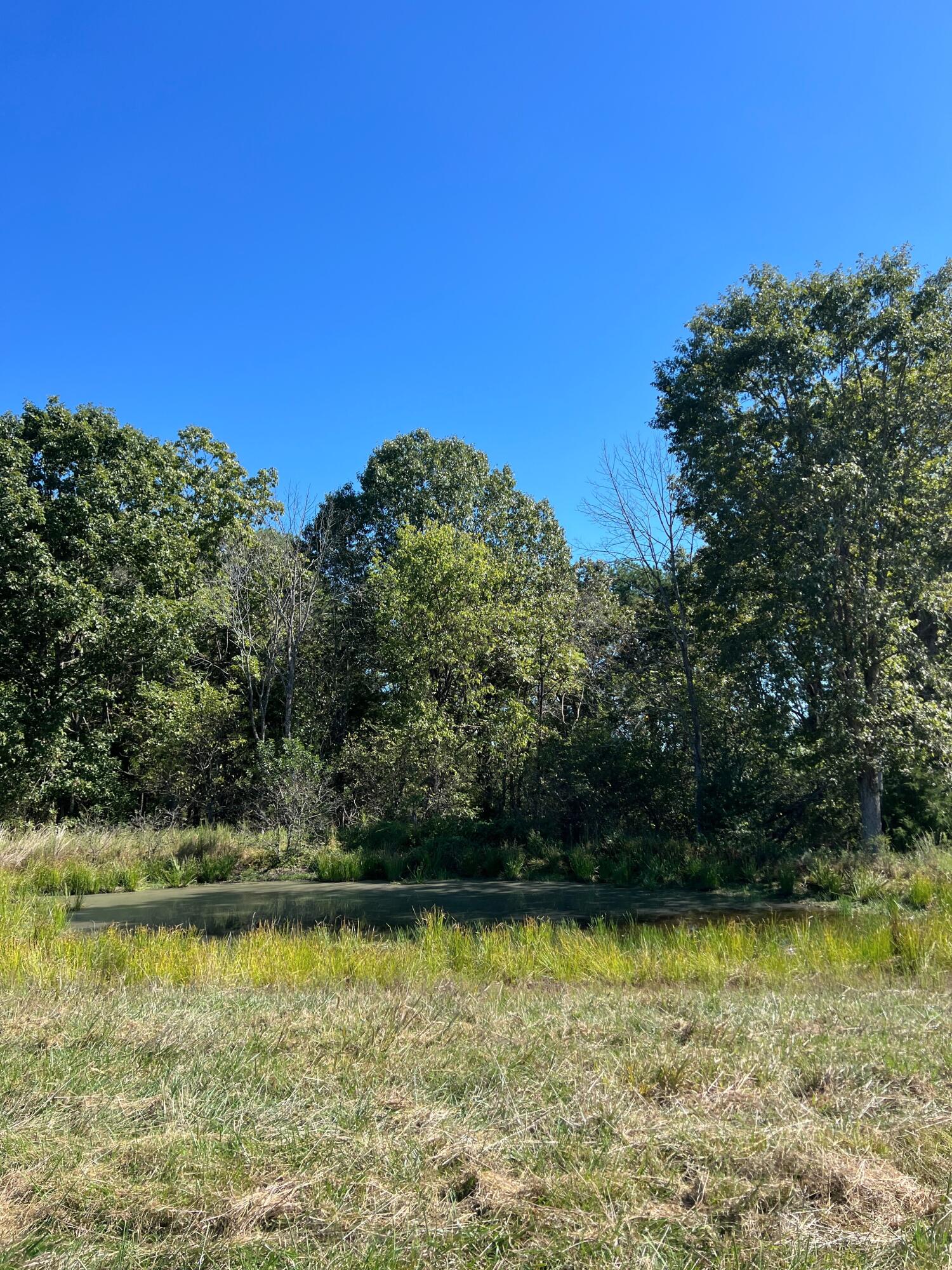 34771 Mo-14 Property Photo 112