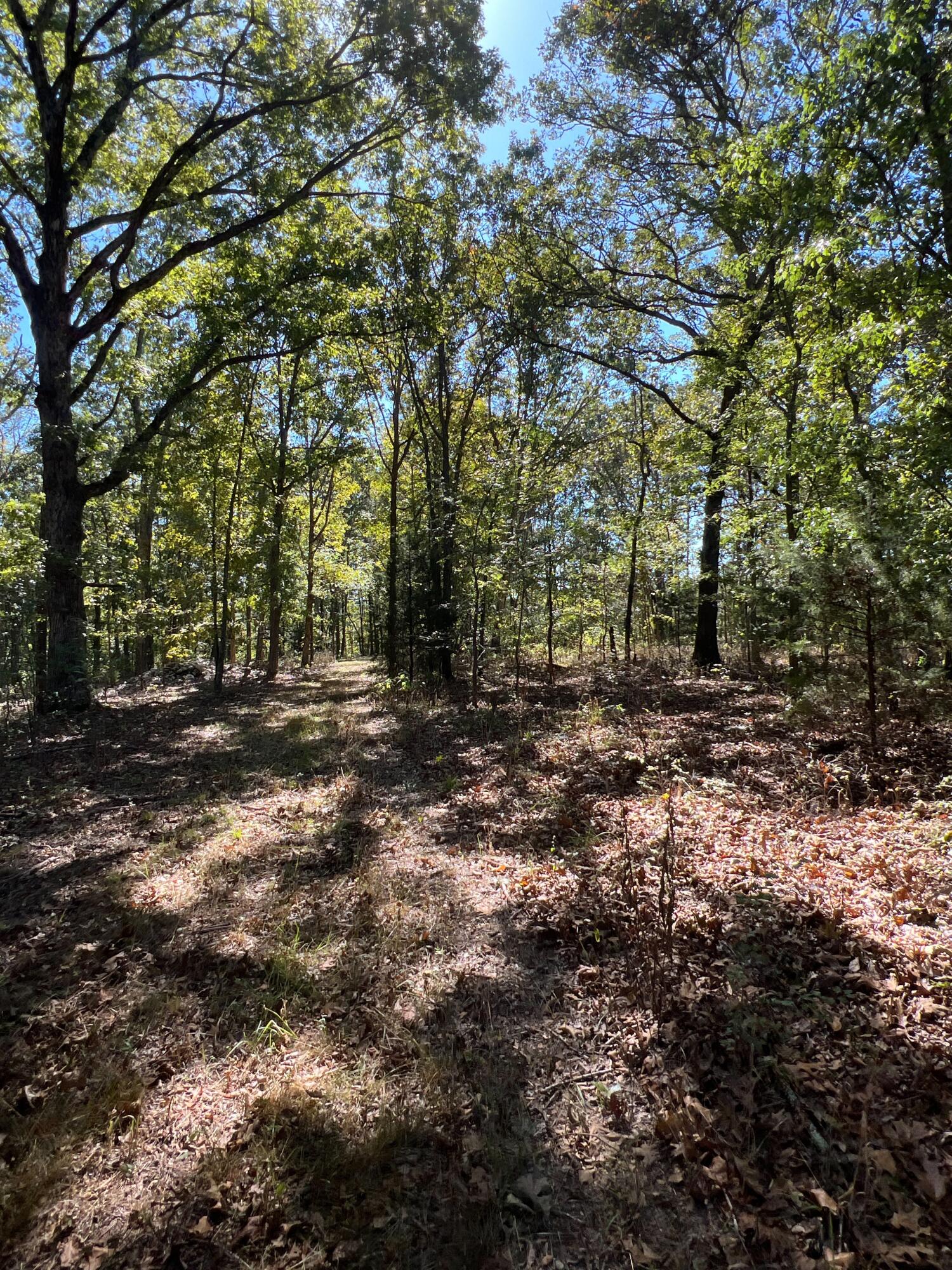 34771 Mo-14 Property Photo 113