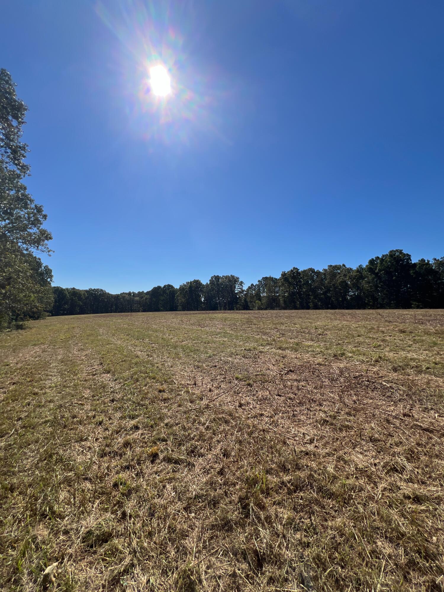 34771 Mo-14 Property Photo 114