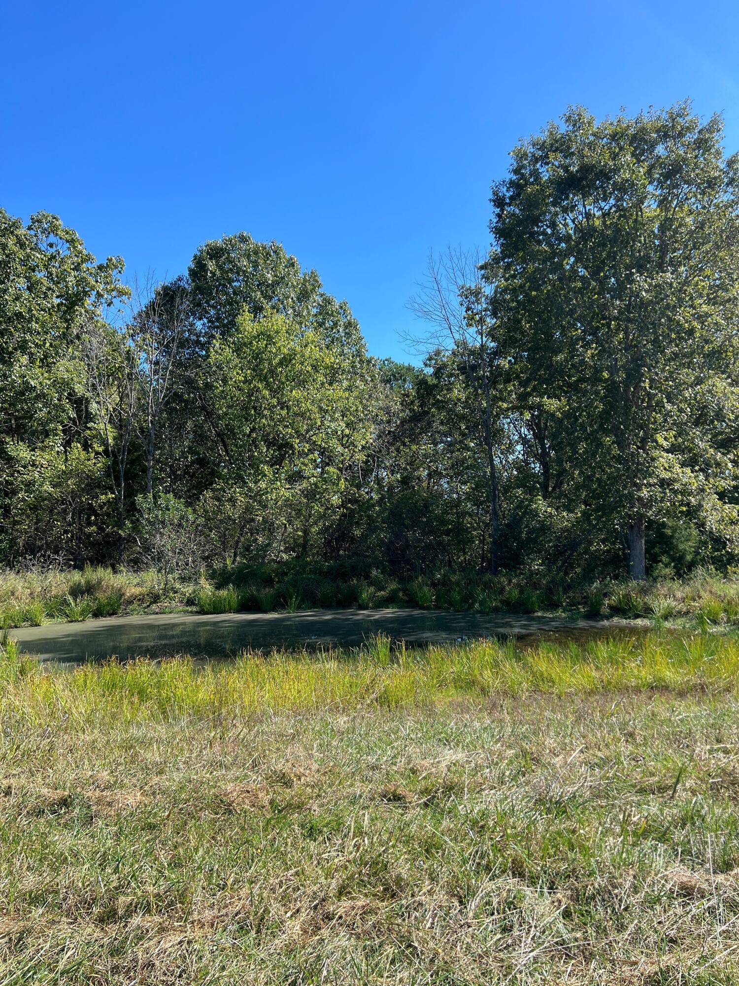 34771 Mo-14 Property Photo 116