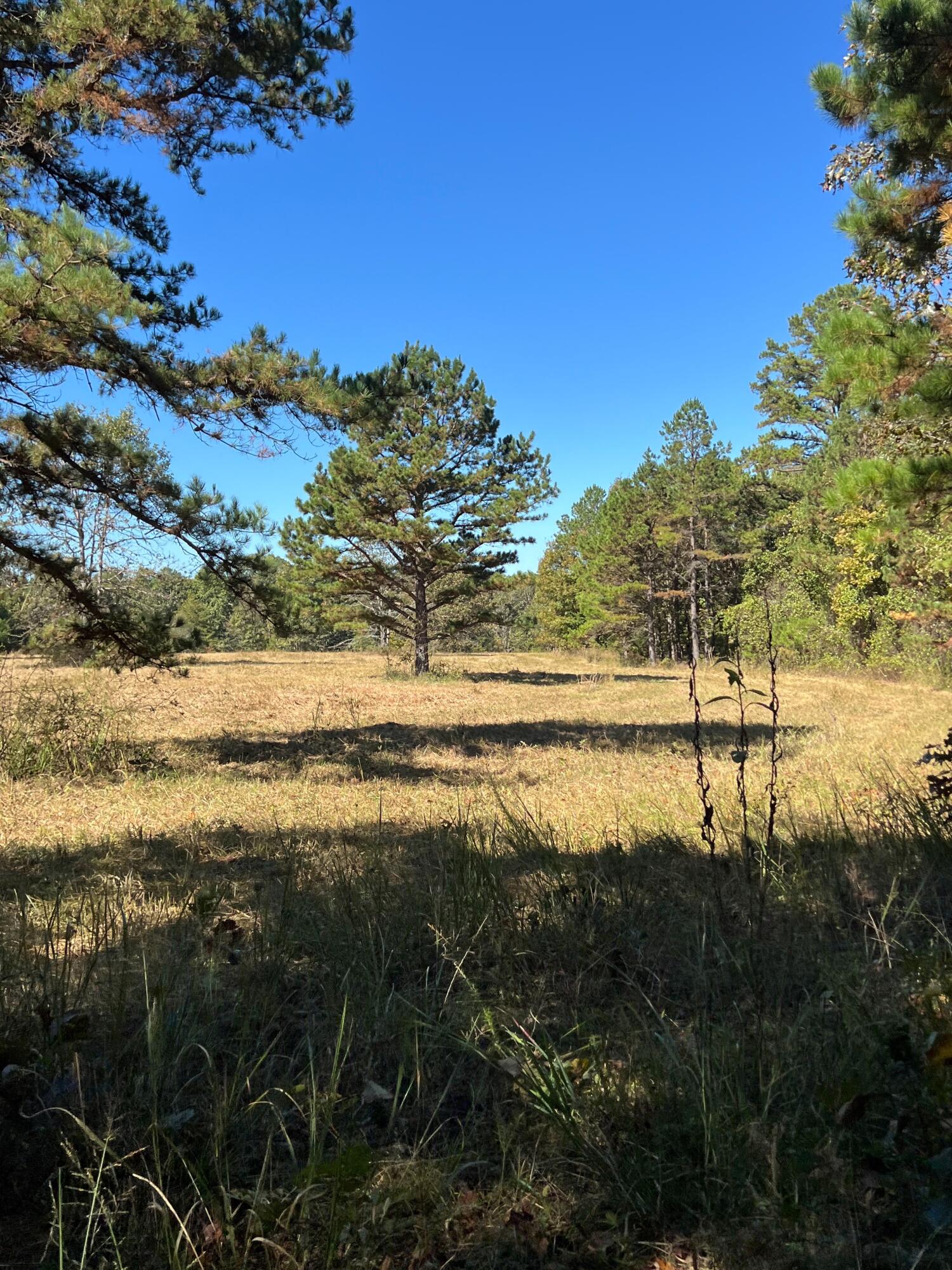 34771 Mo-14 Property Photo 117
