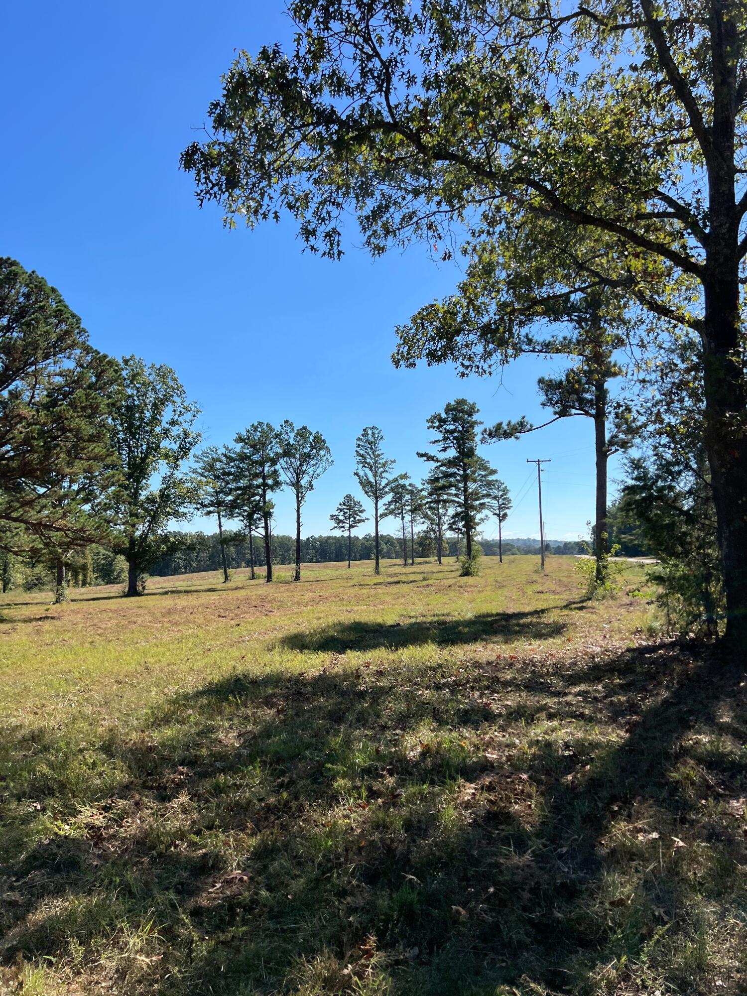 34771 Mo-14 Property Photo 118
