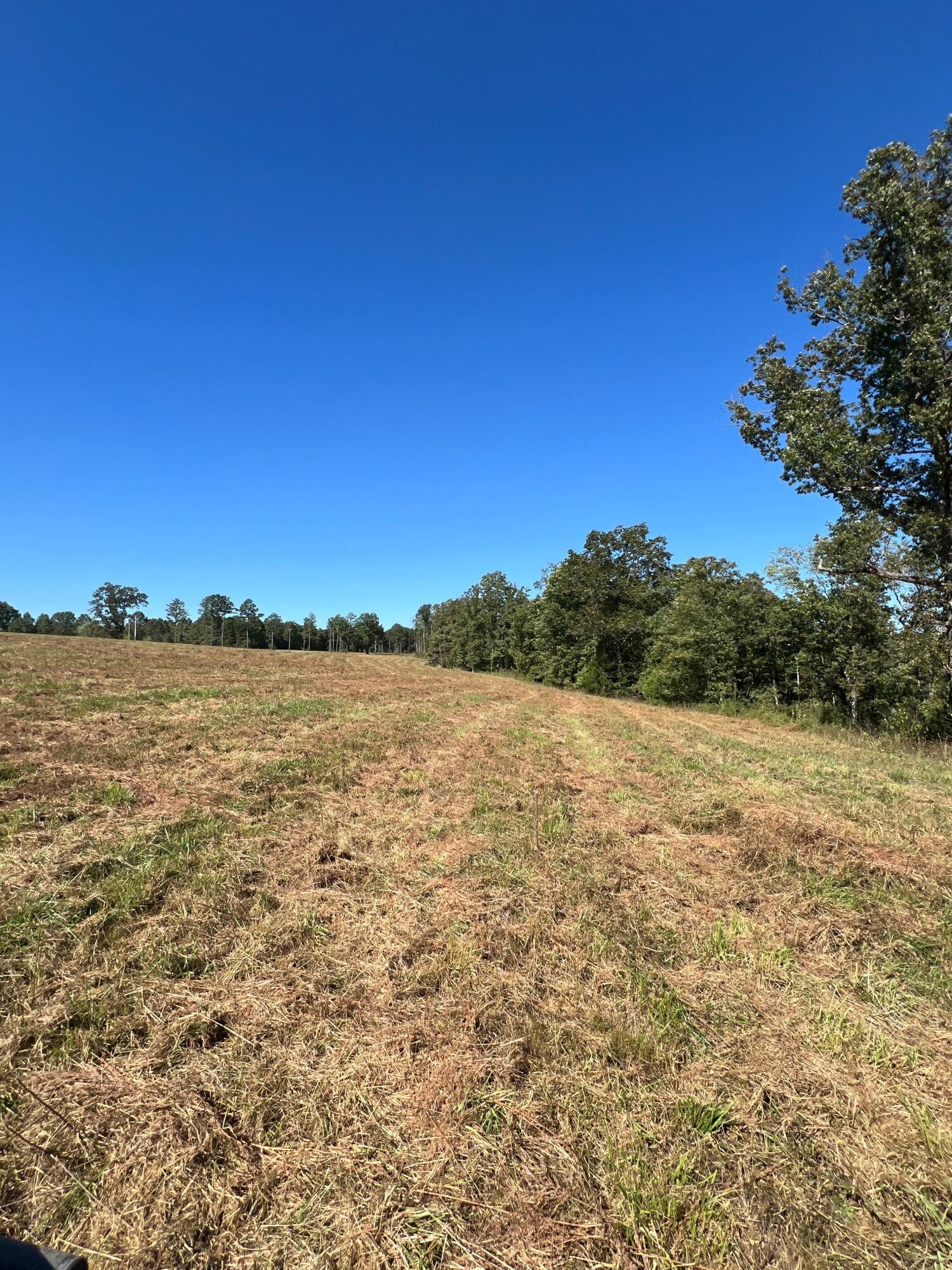 34771 Mo-14 Property Photo 120
