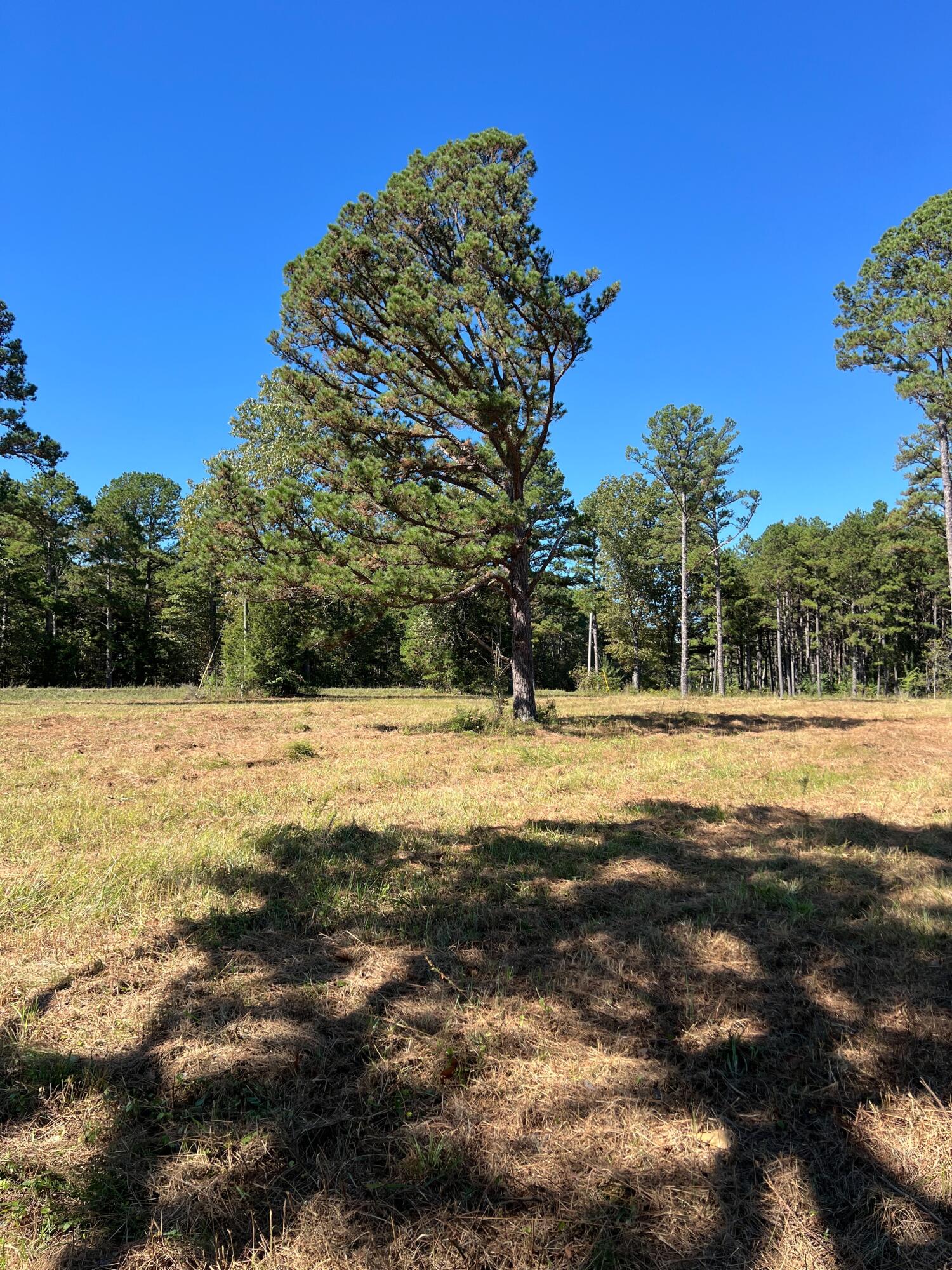 34771 Mo-14 Property Photo 121