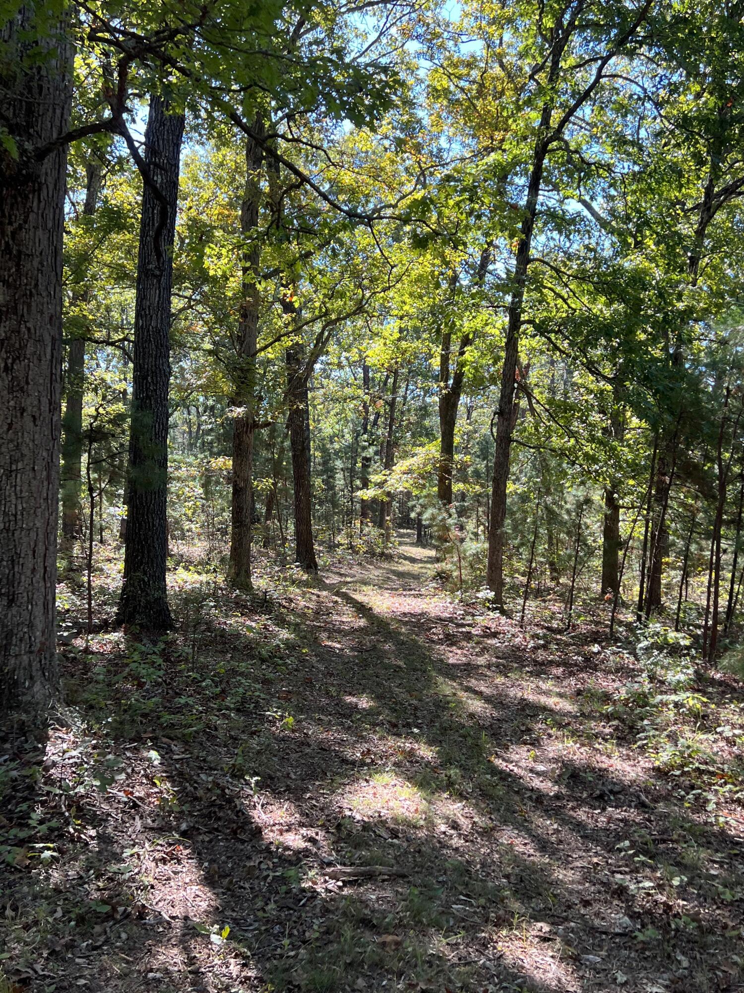34771 Mo-14 Property Photo 122