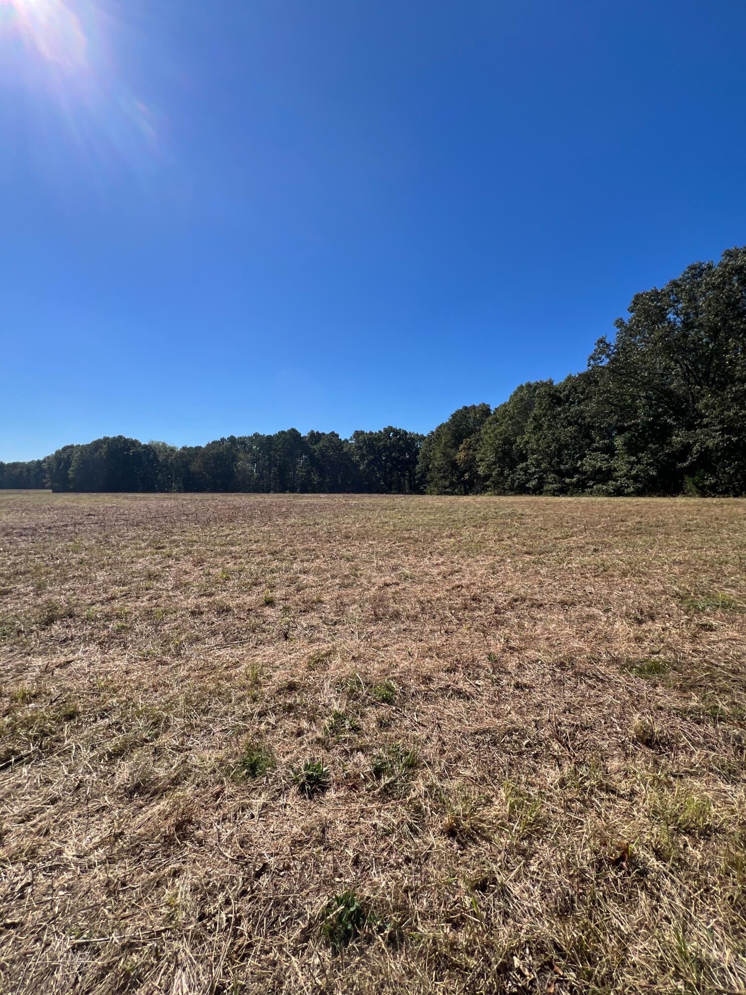 34771 Mo-14 Property Photo 124