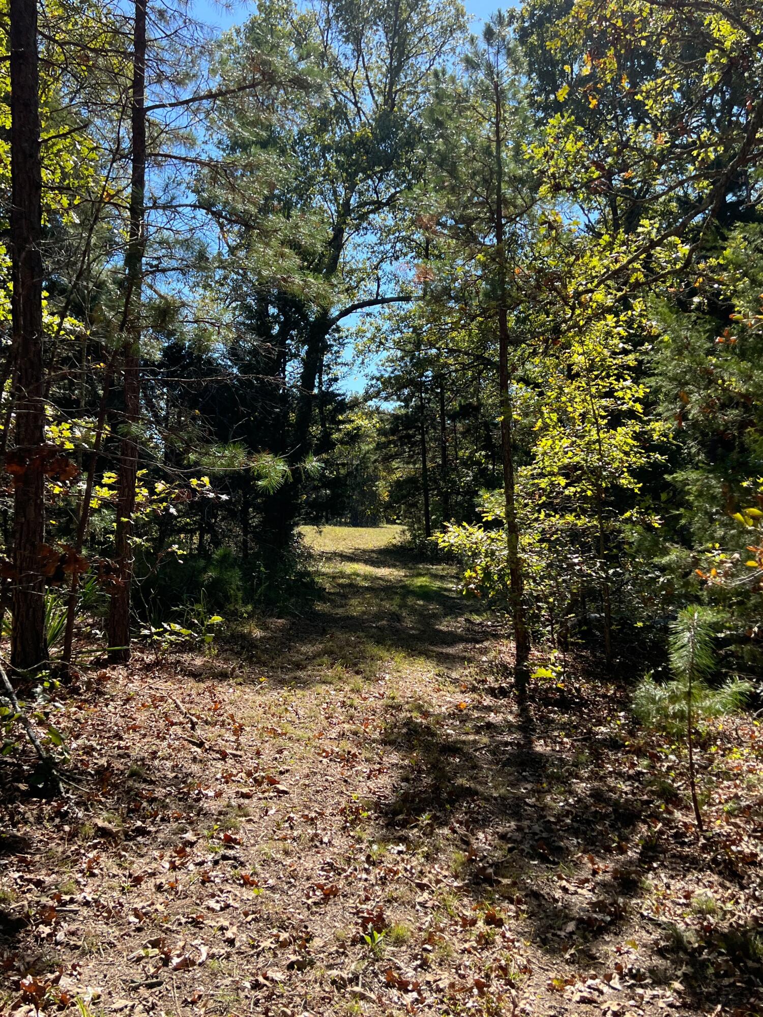 34771 Mo-14 Property Photo 125