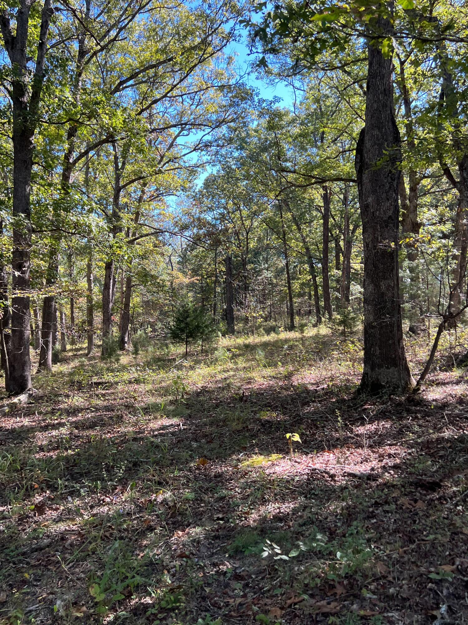 34771 Mo-14 Property Photo 127
