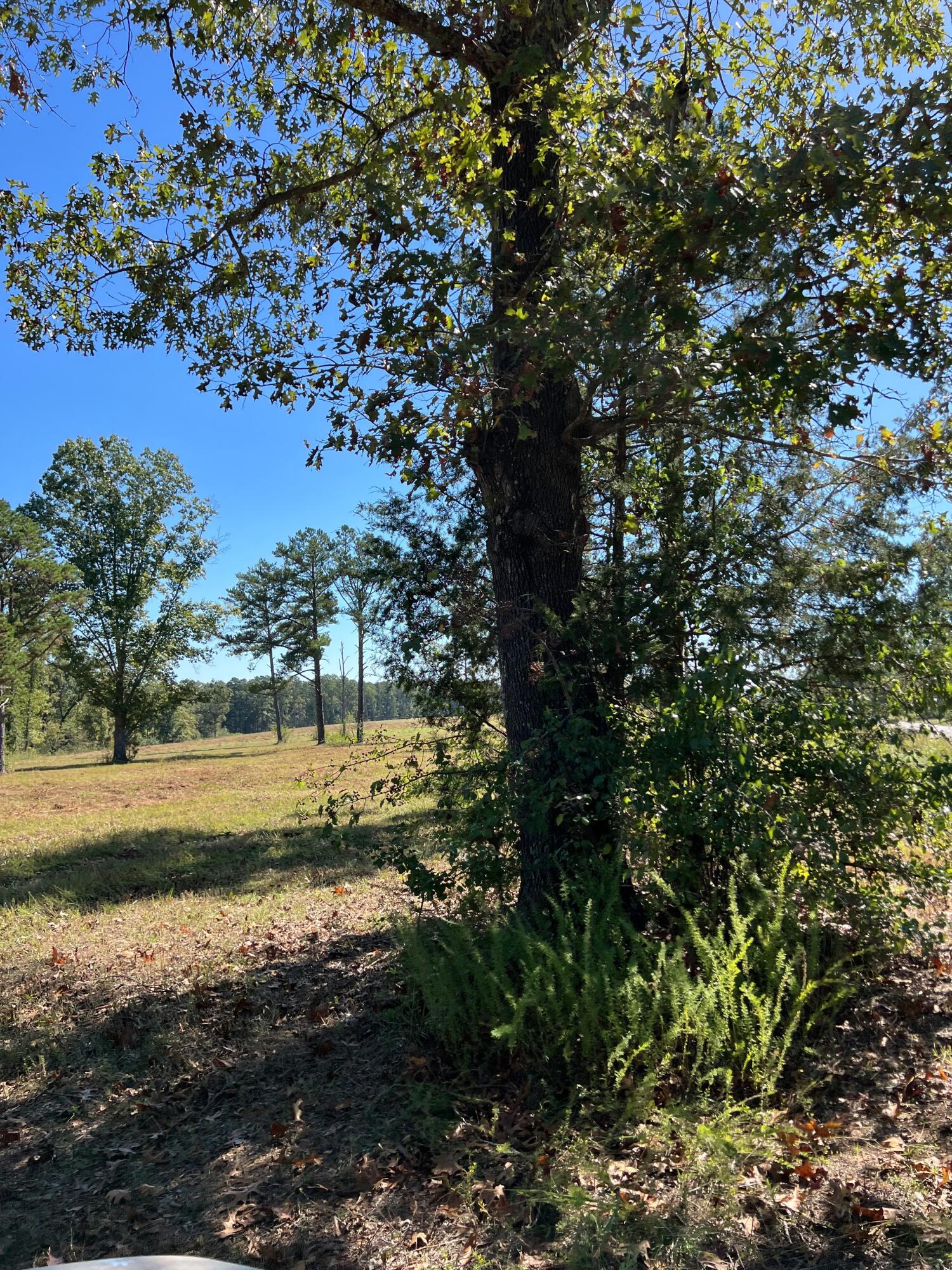 34771 Mo-14 Property Photo 128