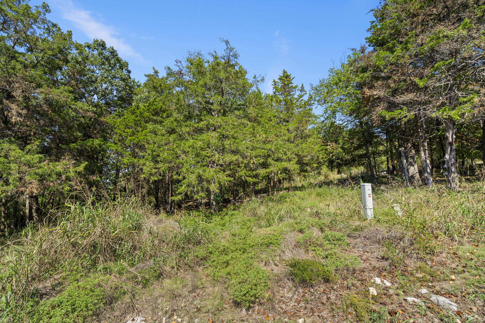 0 End Of Trail Drive Property Photo 8