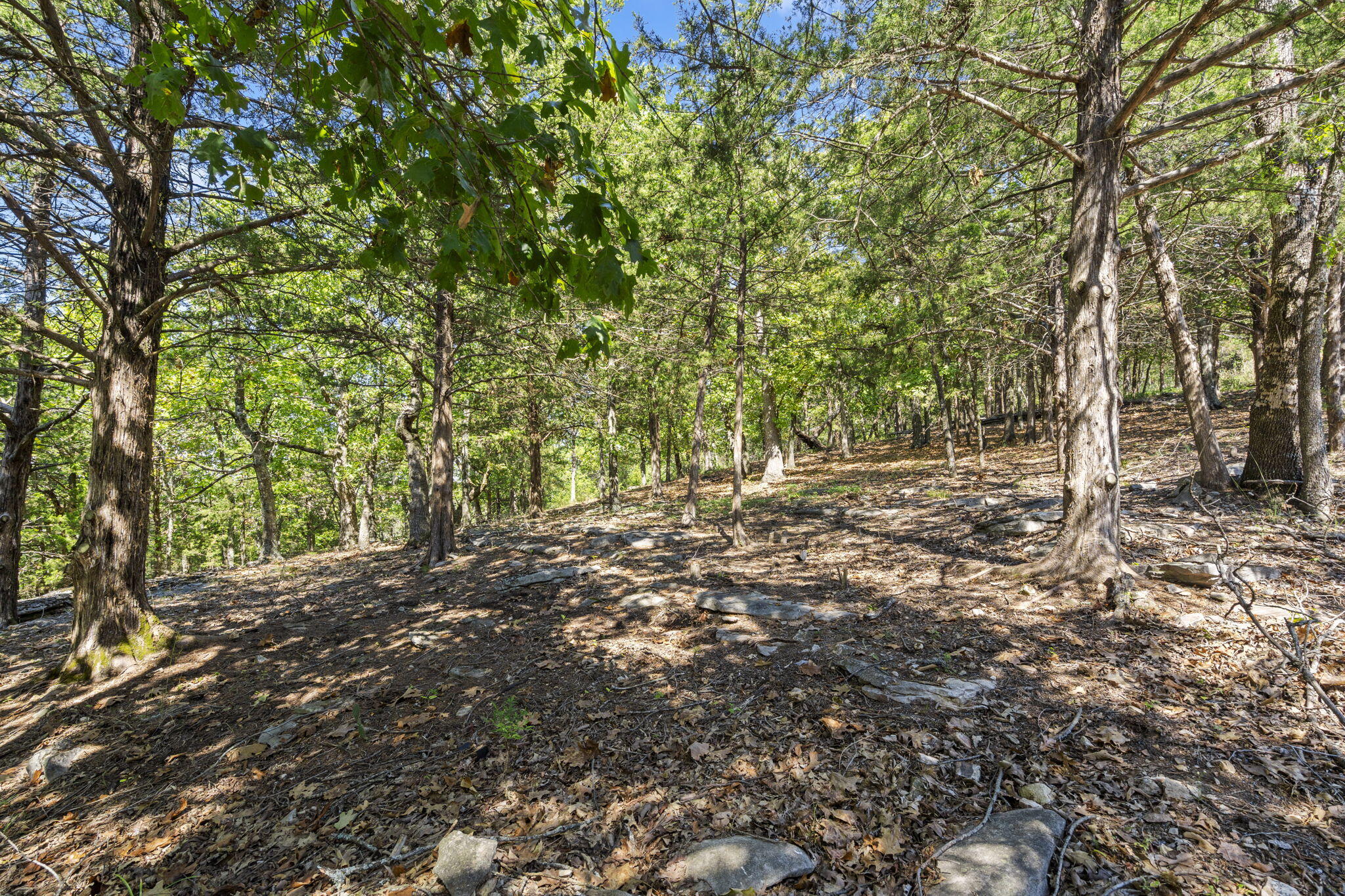 0 End Of Trail Drive Property Photo 9