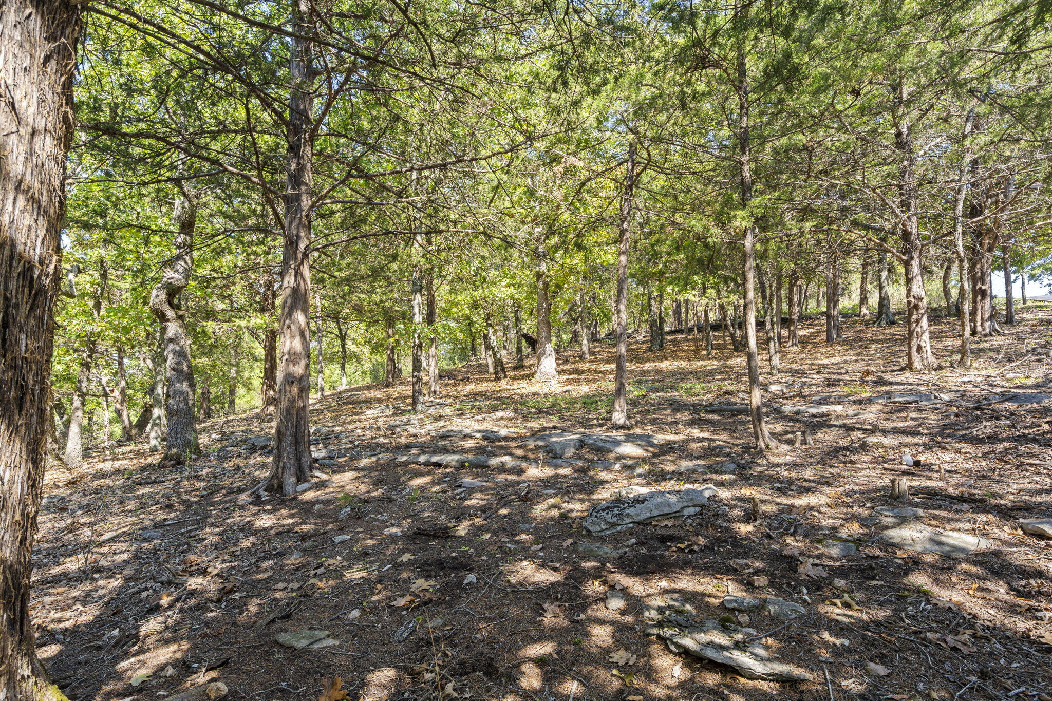 0 End Of Trail Drive Property Photo 10